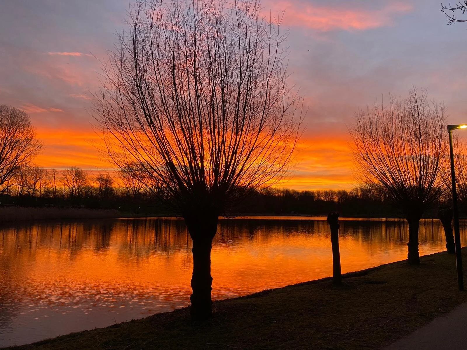 Oproep kandidaat bestuurslid en commissie 