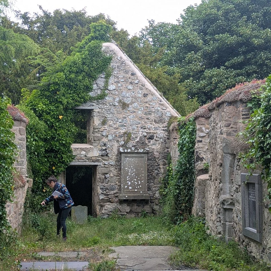 Soft and hard capping of church ruin, Creich Cemetery