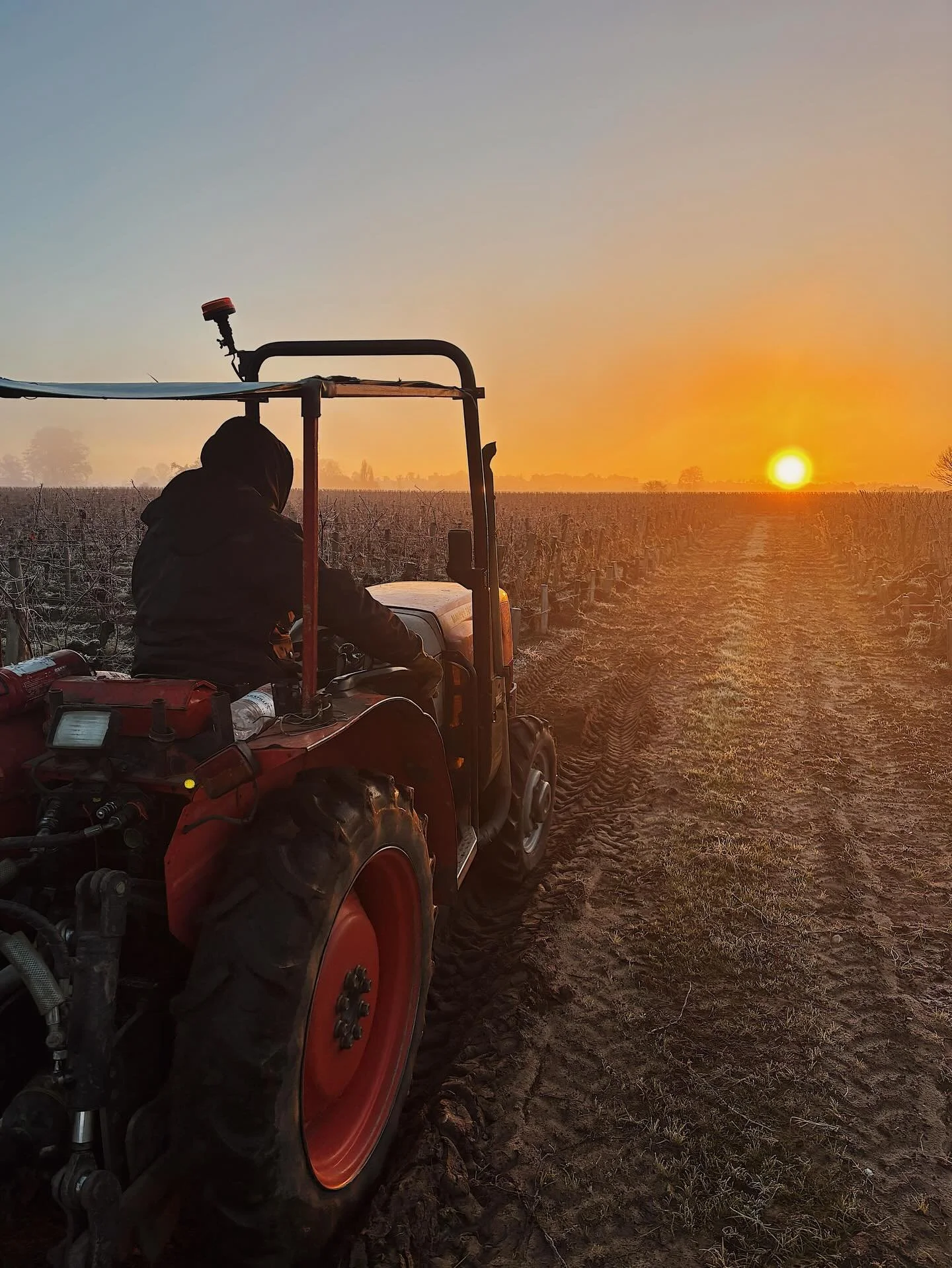 The vineyard doesn&rsquo;t wait, let&rsquo;s get ready for 2026!