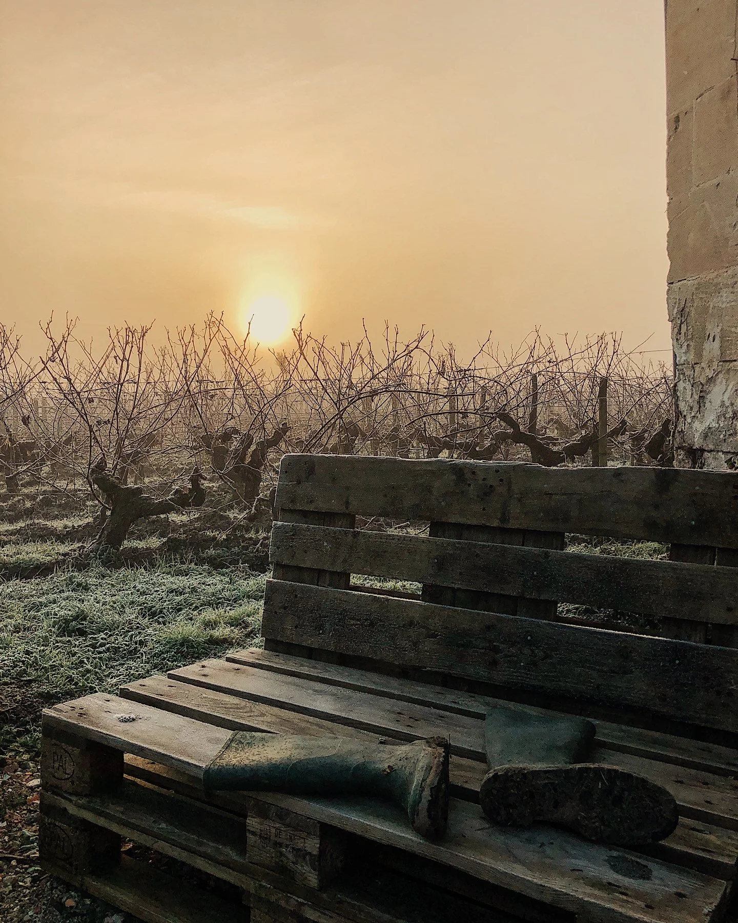 Another winter day in Saint-Emilion.