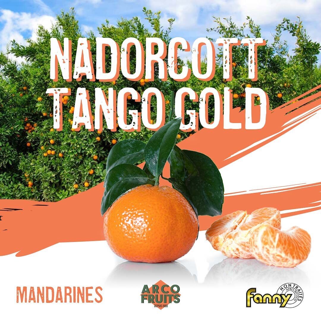 On vous pr&eacute;sente nos mandarines du moment : la nadorcott et la tango gold ! 🍊

Ces deux vari&eacute;t&eacute;s tardives espagnoles se caract&eacute;risent par le fait qu&rsquo;elles sont faciles &agrave; peler et par leurs couleurs orange vif