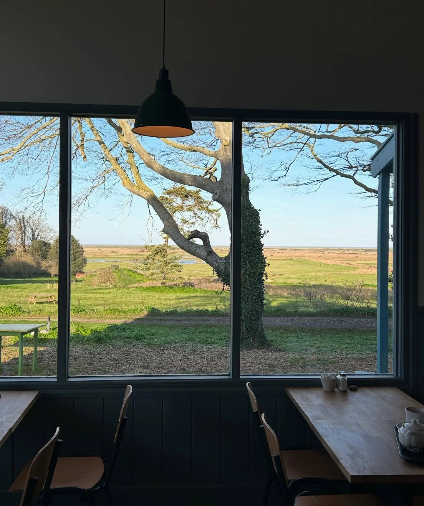 A very cosy christmas 🦪🎀