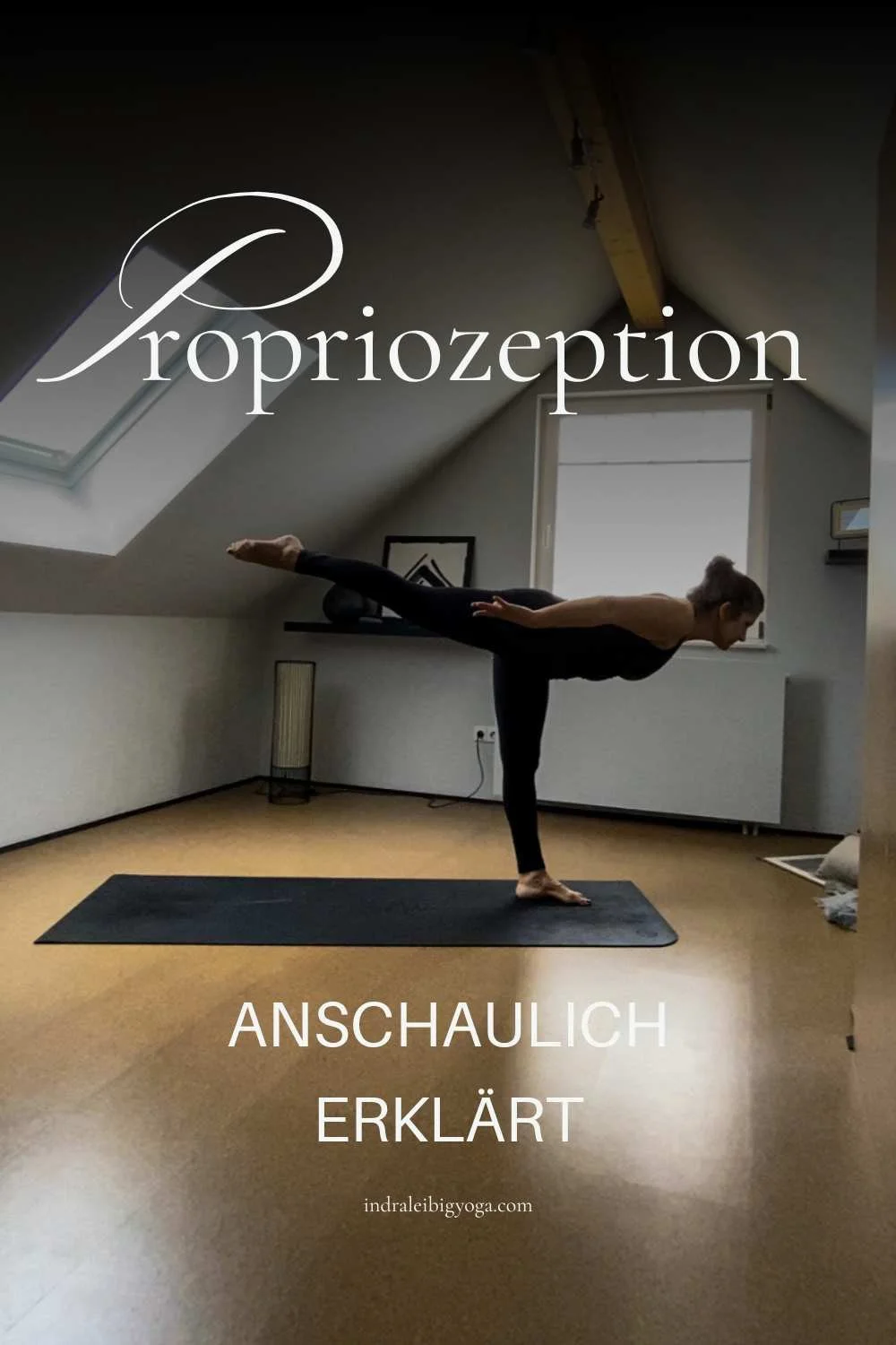 PROPRIOZEPTION