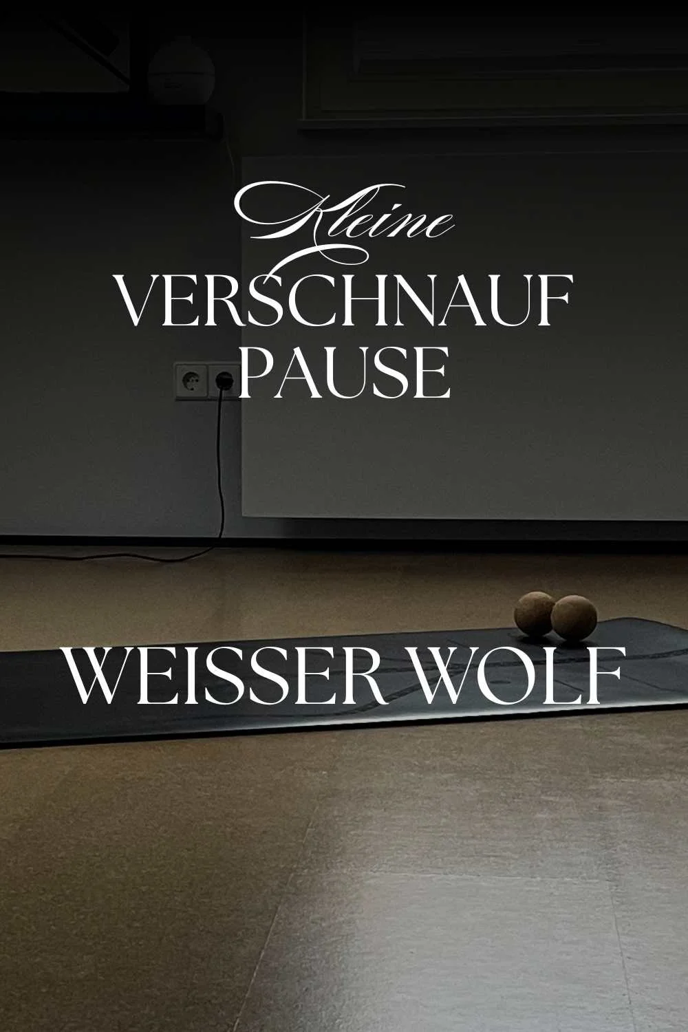 Kleine Verschnaufpause - Weißer Wolf