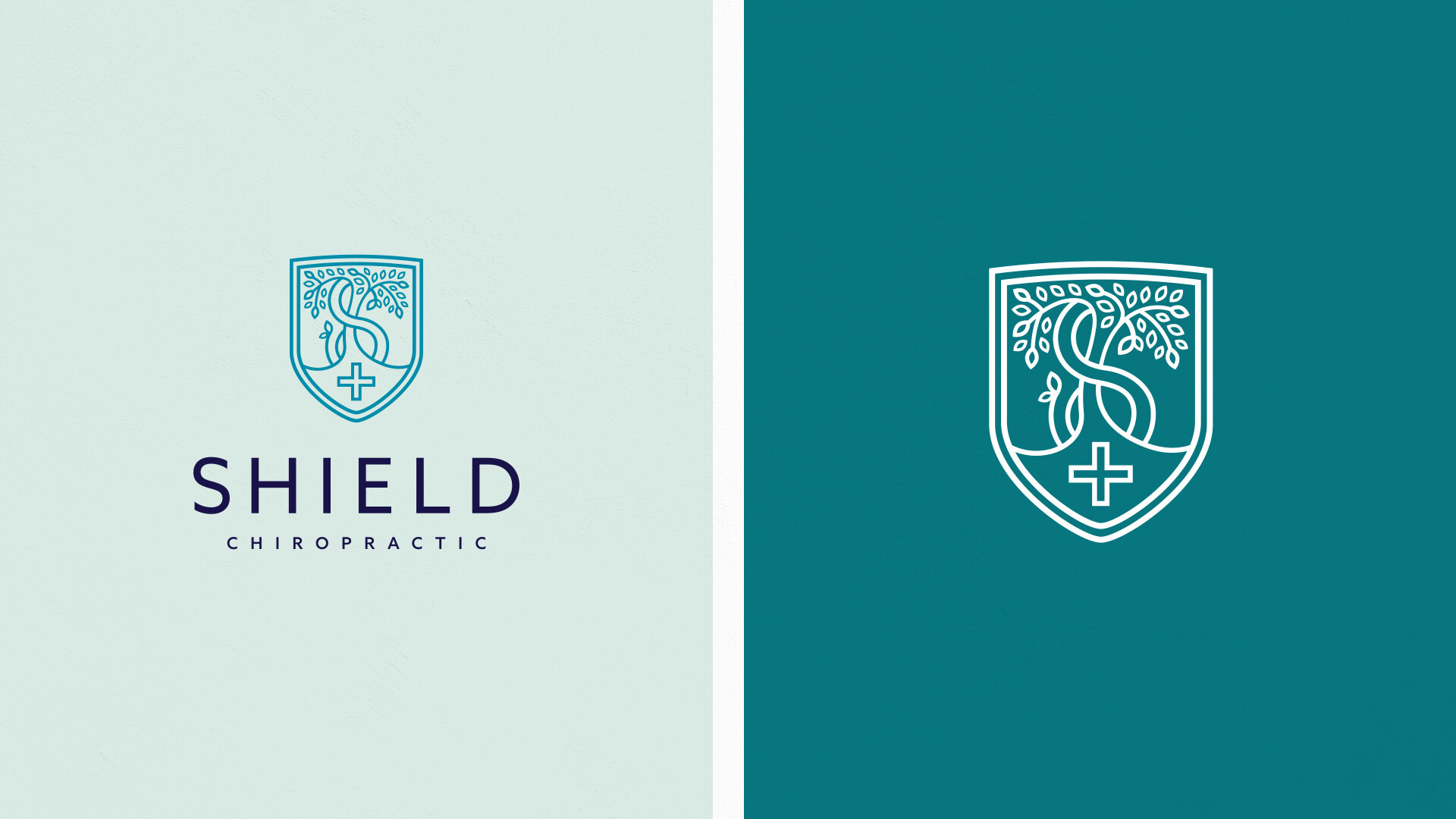 Shield2.jpg