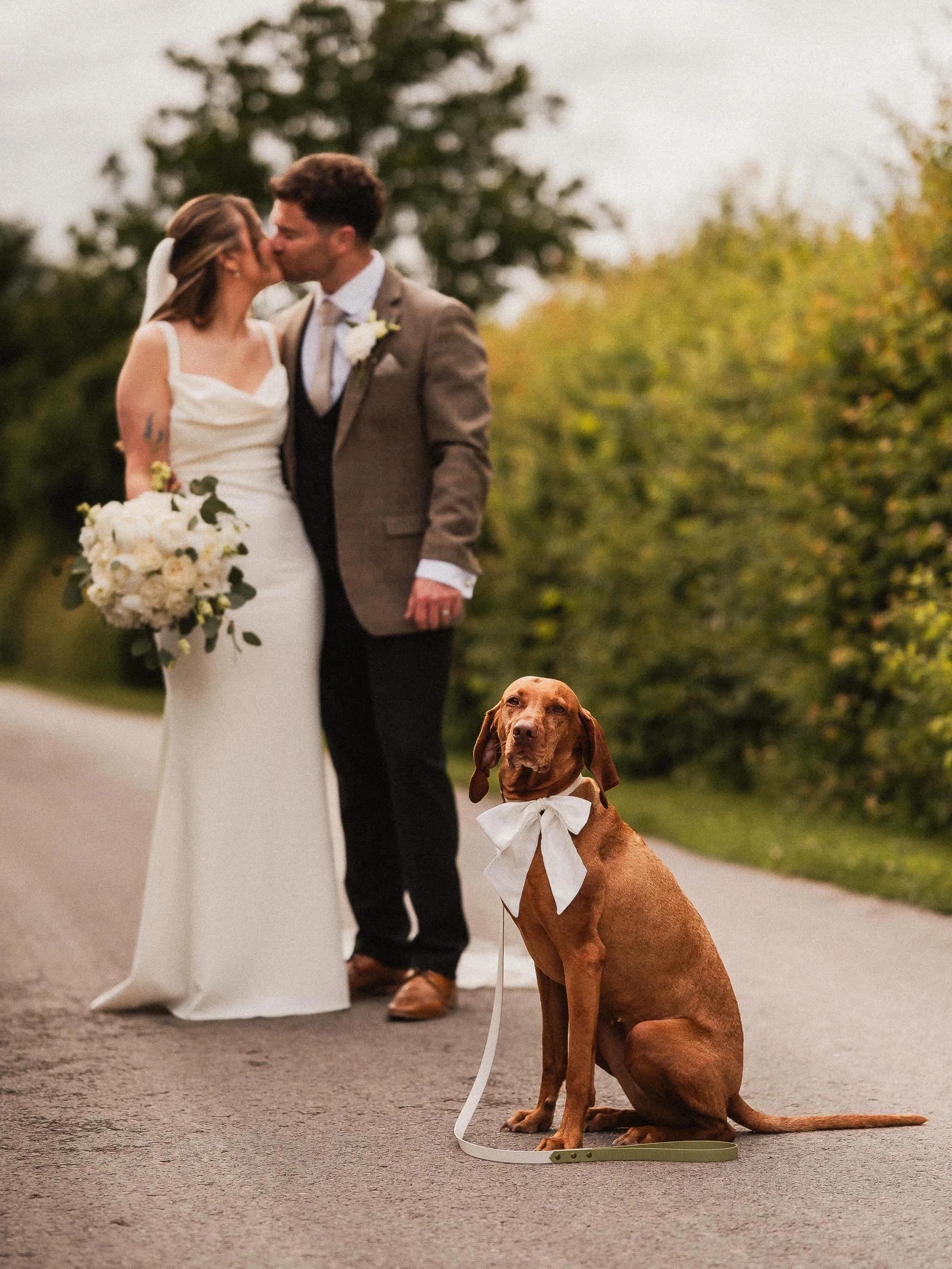 Natalie &amp; Nick
.
A nice, laid-back day with two genuinely lovely people, a dream team of suppliers, and the always-brilliant crew at Stretton Manor Barn making everything run smoothly.

Featuring an appearance by Willow the dog, who stole a fair 