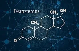 Why You Can’t Let Go of Testosterone: The Psychology Behind the Obsession