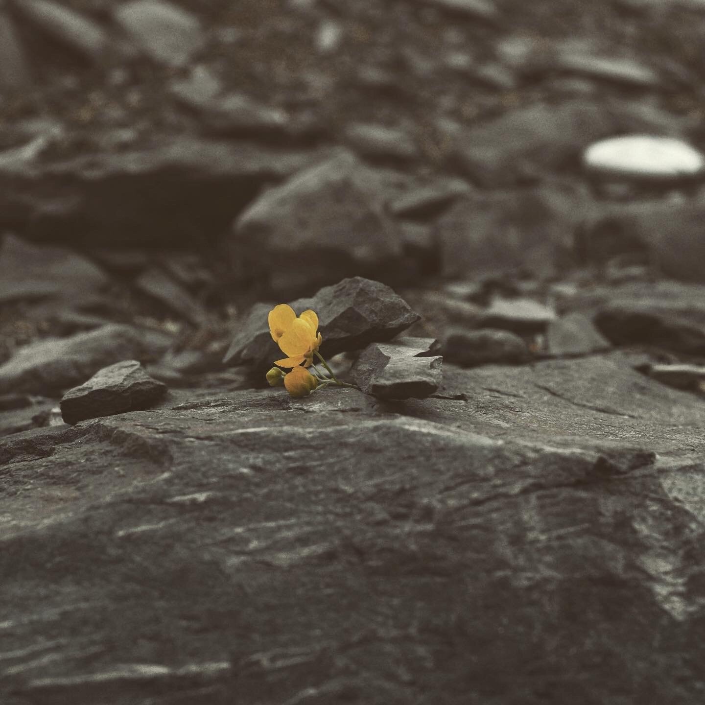 53A353F4-0247-4766-8D00-E8B9689F81F5.jpeg