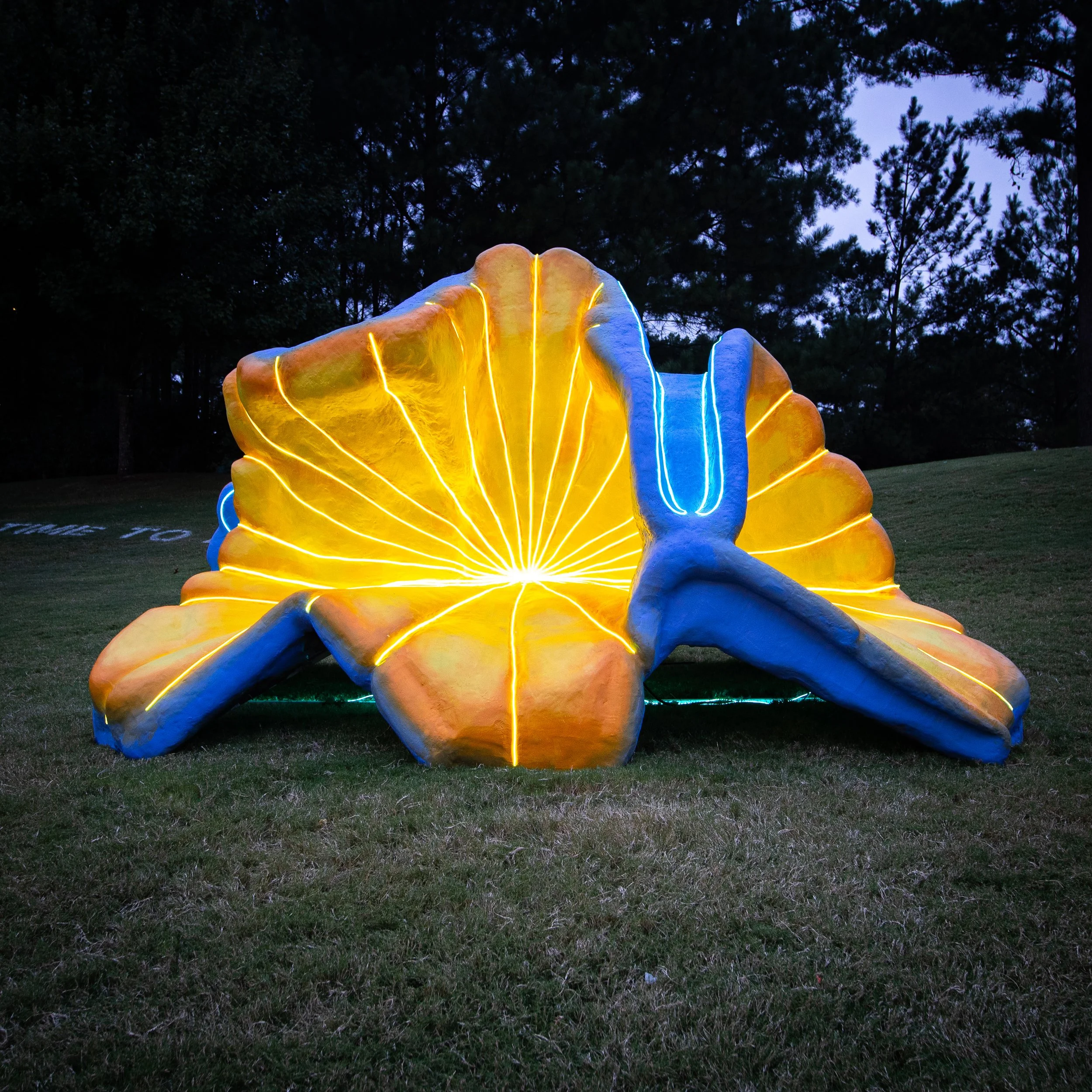 Nebula Bloom final-1.jpg