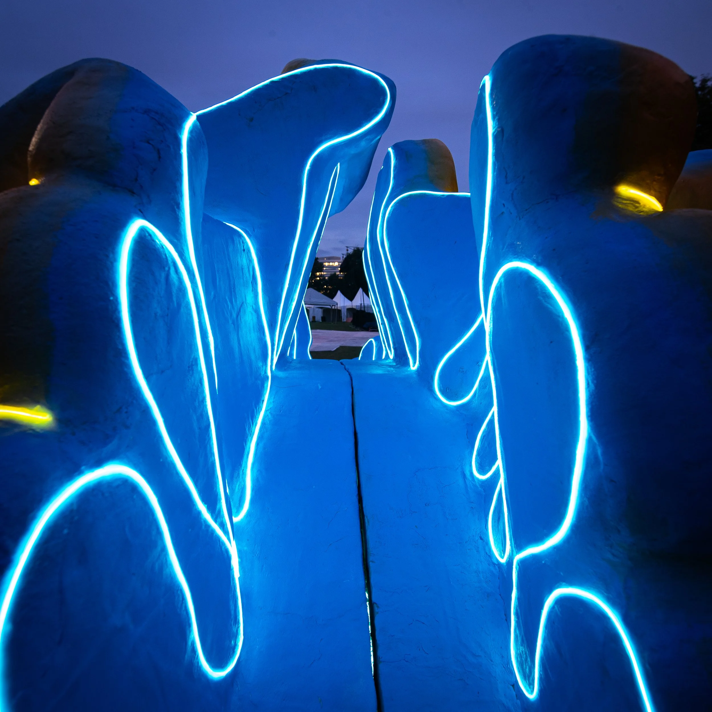 Nebula Bloom final-10.jpg