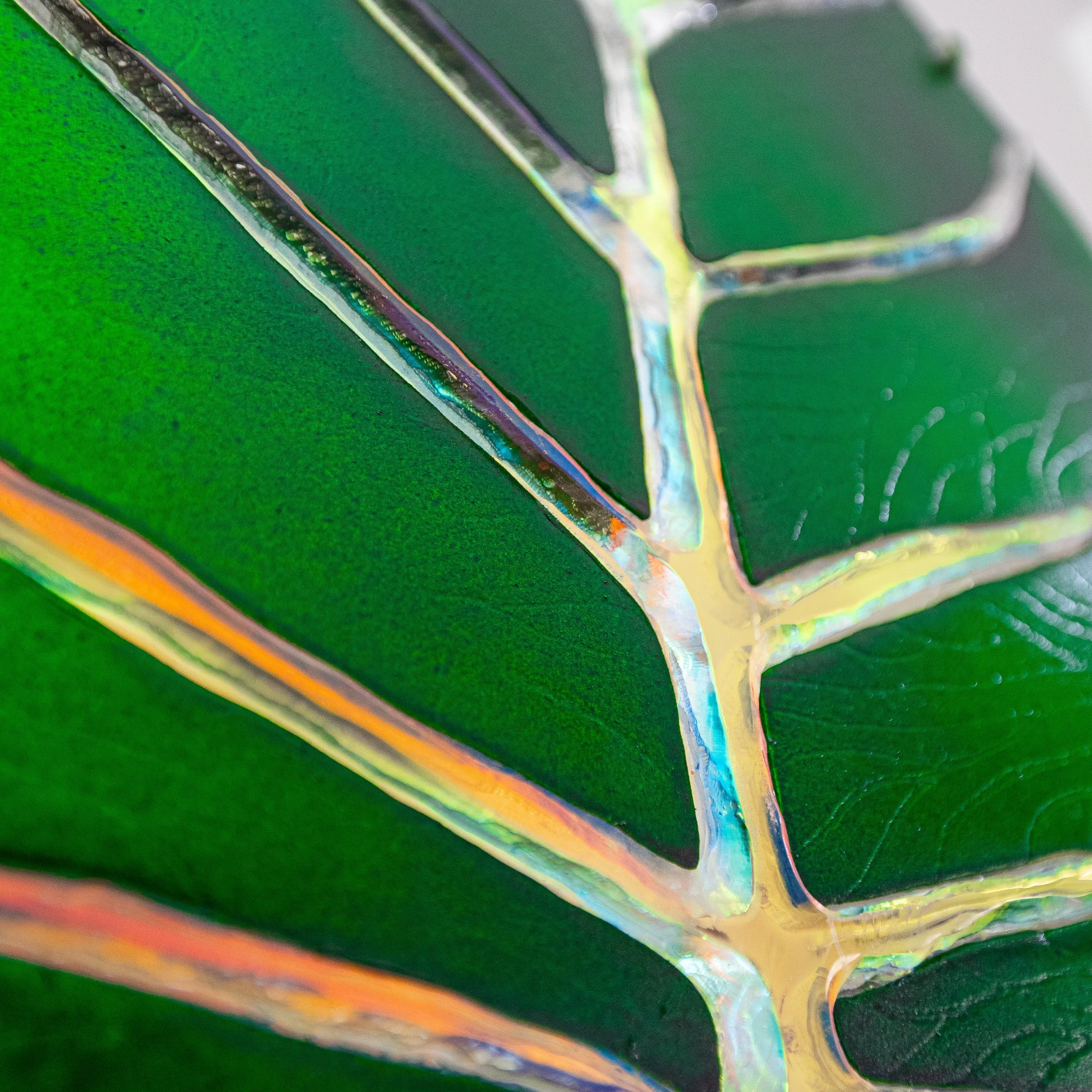 close up leaf-1.jpg