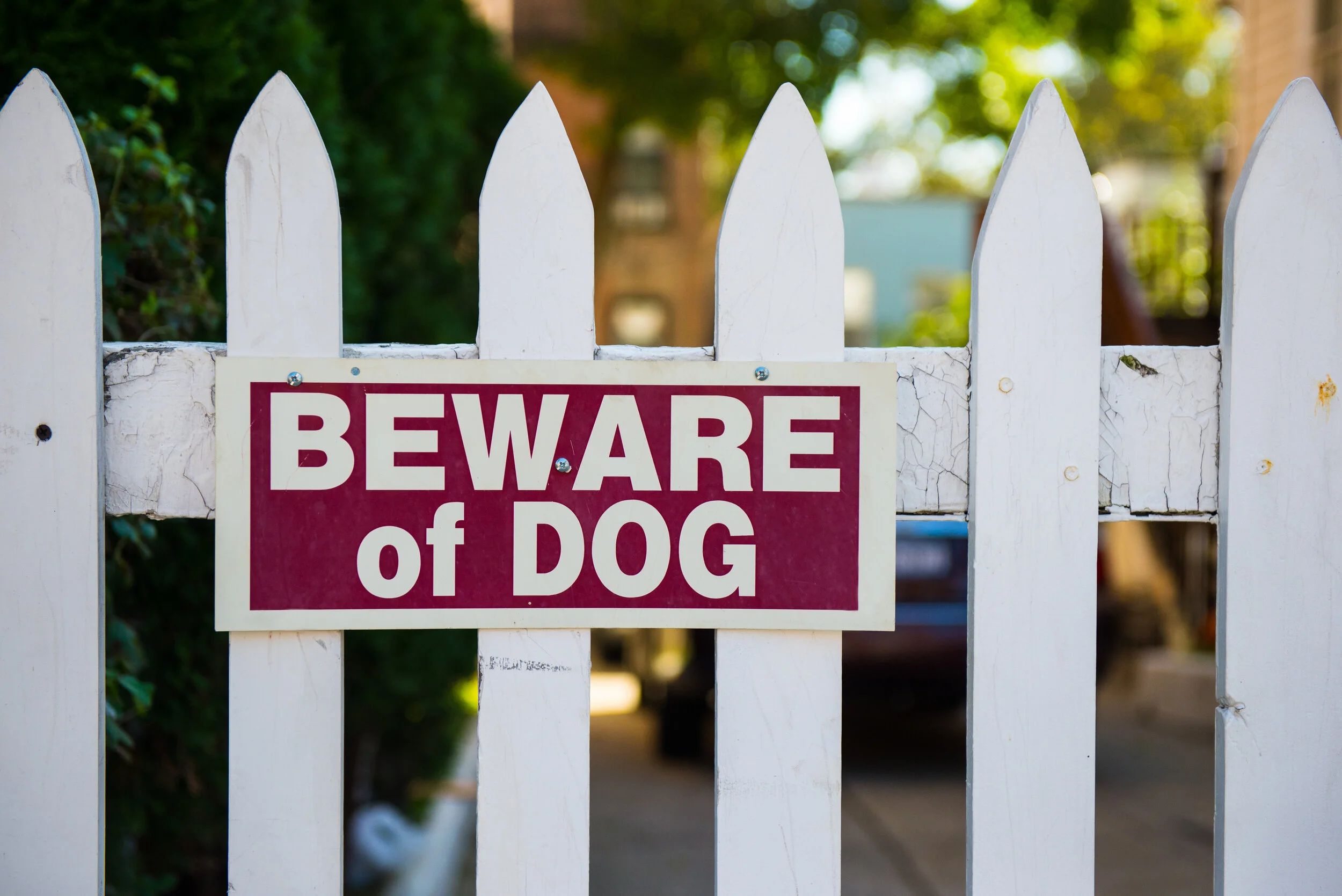 Dog Bite Liability - Personal Injury Attorney