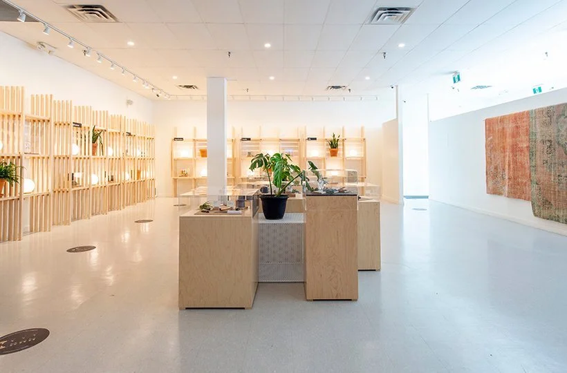 Cannabis-Store-[Toronto-Danforth-Village]---Dutch-Love-v1614626448465.jpeg
