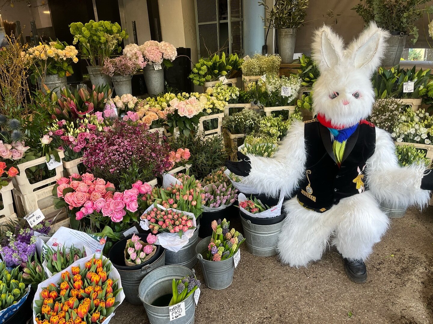 HaPpY EaSteR 🐇💖!!

We&rsquo;re open all day today with the most beautiful flowers and gorgeous plants - a perfect treat for Easter Sunday! Pop down and see us and create that lovely feeling of spring at home 🐣

#easter #easterflowers #springflowre