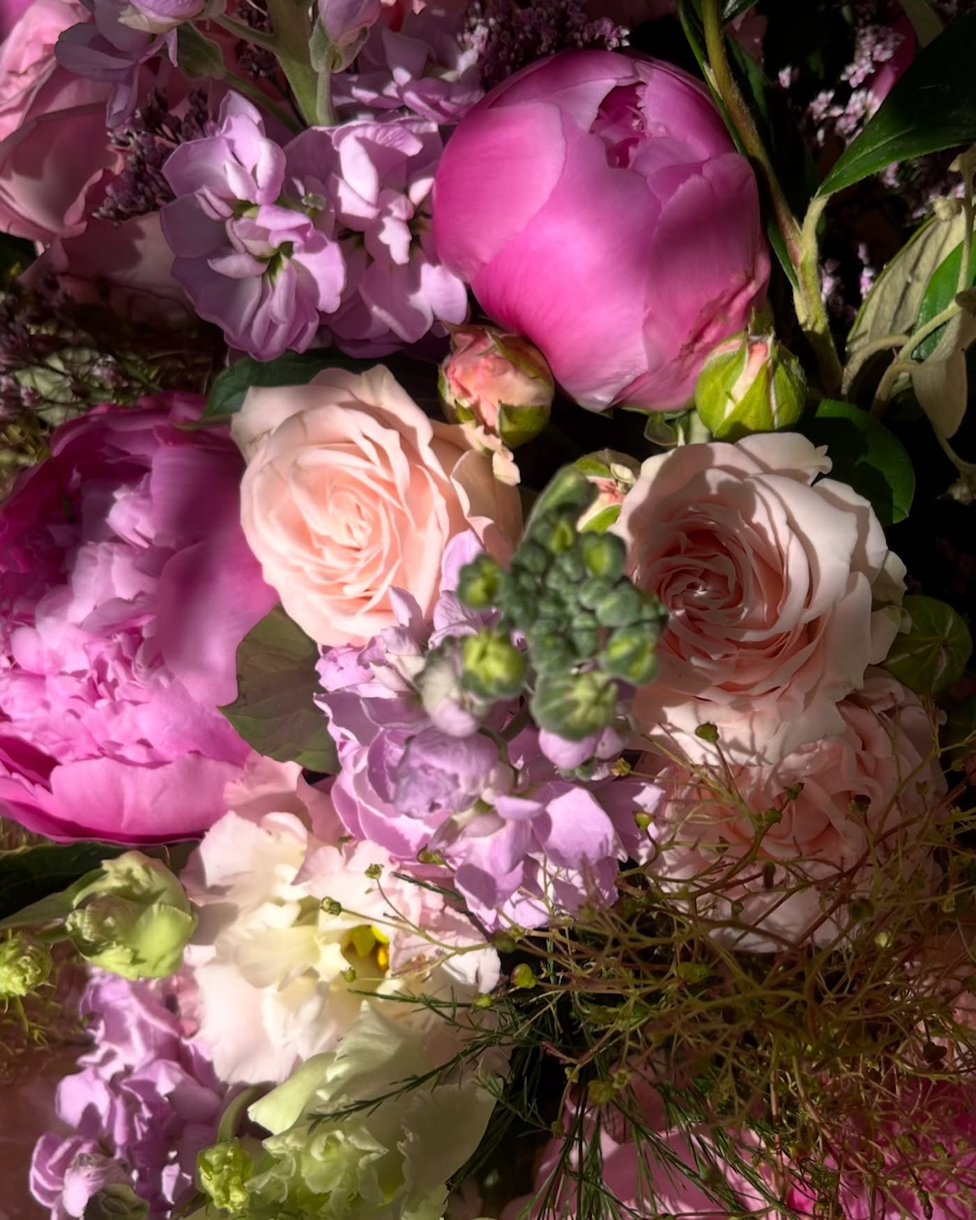Move over Monty - there&rsquo;s no need to go Chelsea Flower Show for top quality flower power! 🌈

We have a truly stunning selection of luxurious late spring and early summer flowers (including some of the world&rsquo;s best PEONIES!), ready to bri