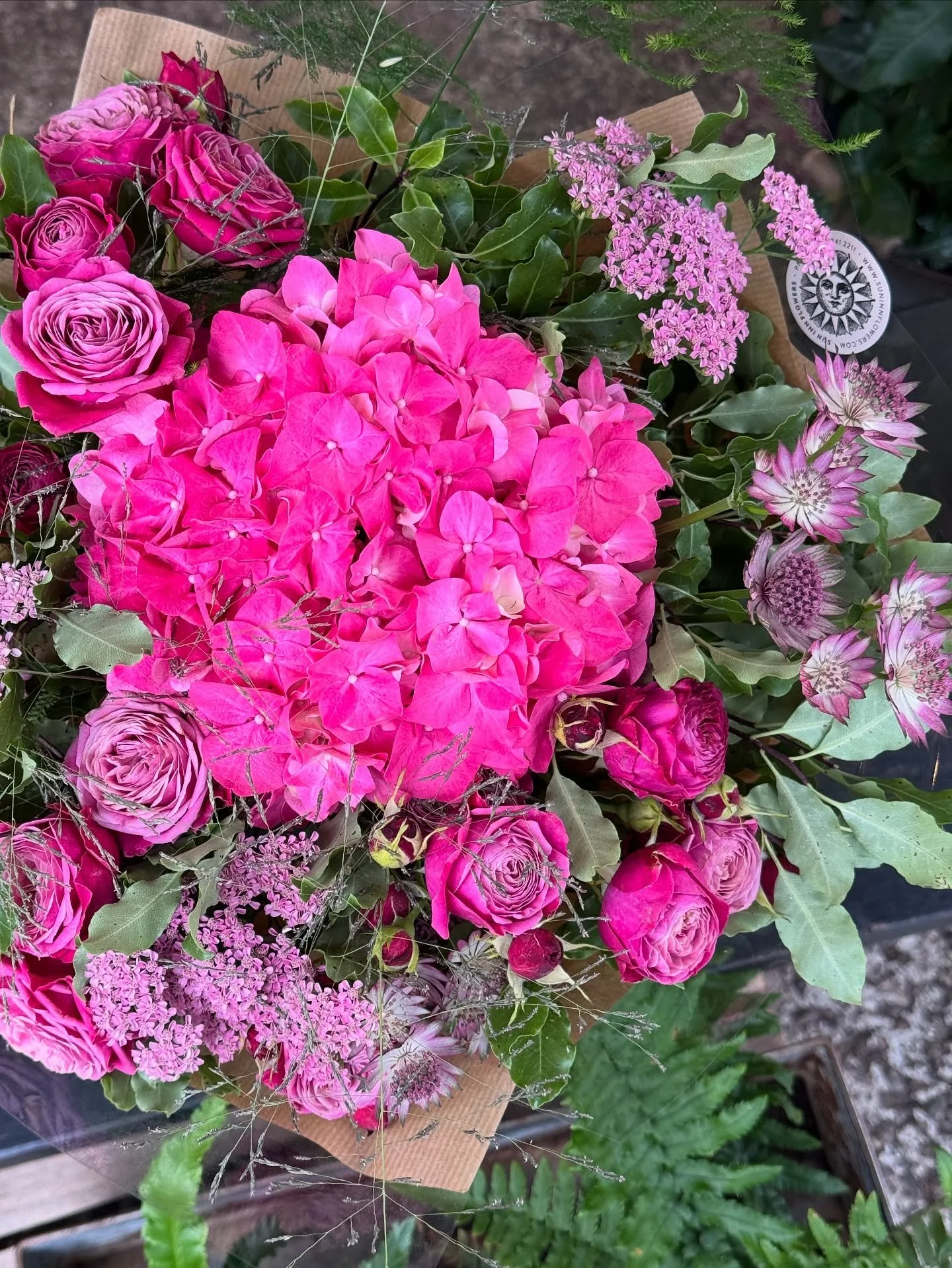 Our fabulous flowers are breathing a sigh of relief now that it&rsquo;s a bit cooler - are you?! 😮&zwj;💨 

We&rsquo;re brimming with summer beauties, like these! Colourful, heavenly scented blooms that make your heart soar and capture the essence o
