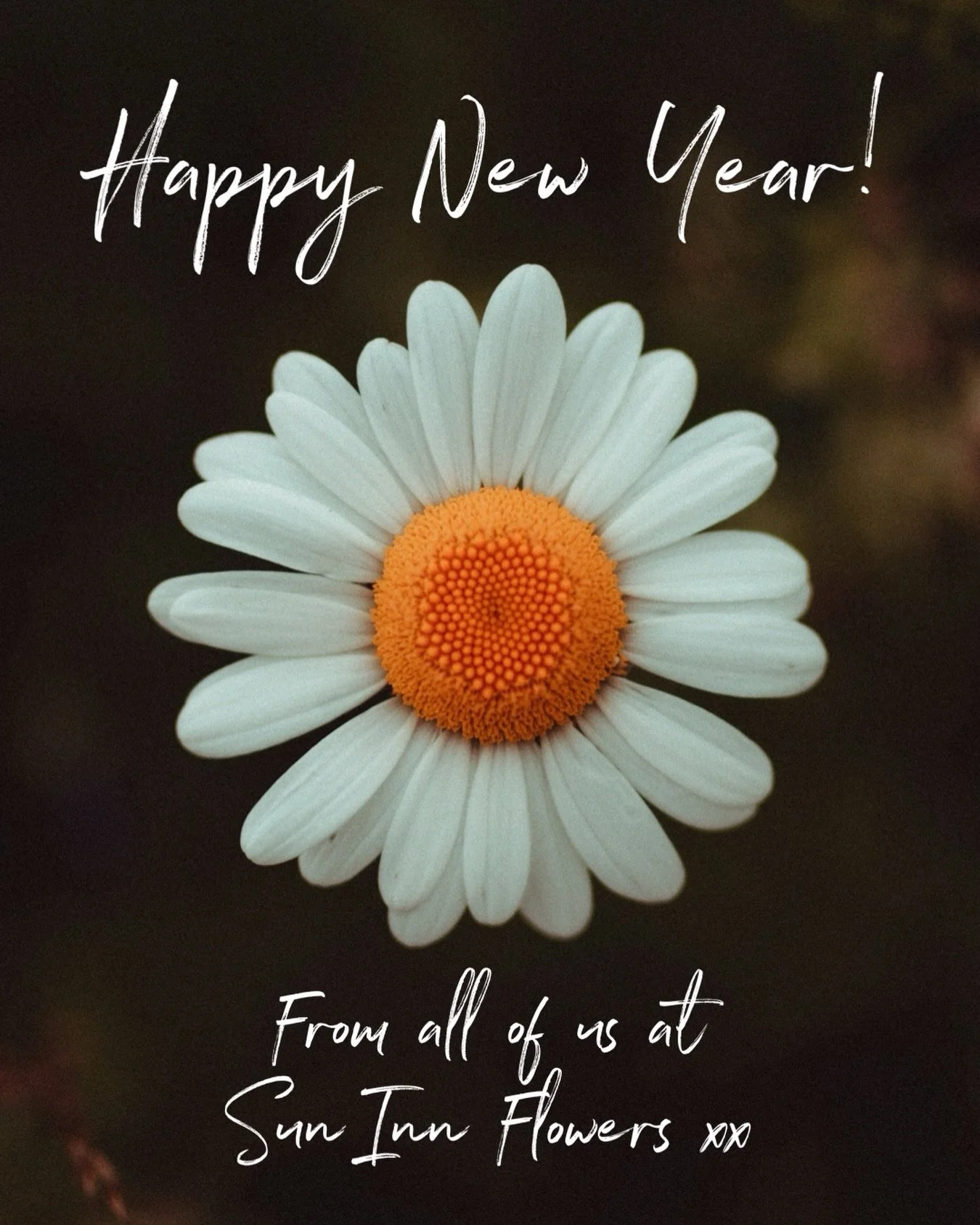 Happy New Year dearest friends and flower lovers! 🌸🌱🌺🌿🌼🌷🍃🌹

We&rsquo;ve delayed our re-opening by a few days because of this very chilly cold snap 🥶! We will be back open and brimming with gorgeous plants and an array of joyful luxury flower