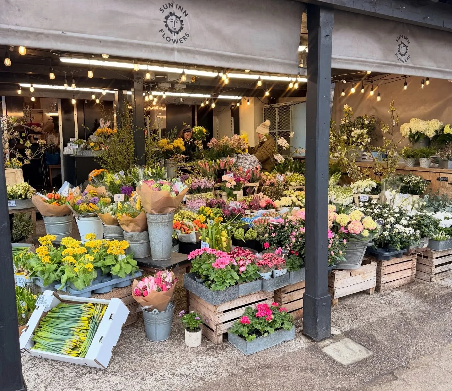 Hopping into the bank holiday weekend 🐰

We&rsquo;re fully stocked with so many beautiful seasonal blooms ready to bring the beauty and choice of spring into your home this Easter!! 🐣 

#suninnflowers #easterflowers #springflowers