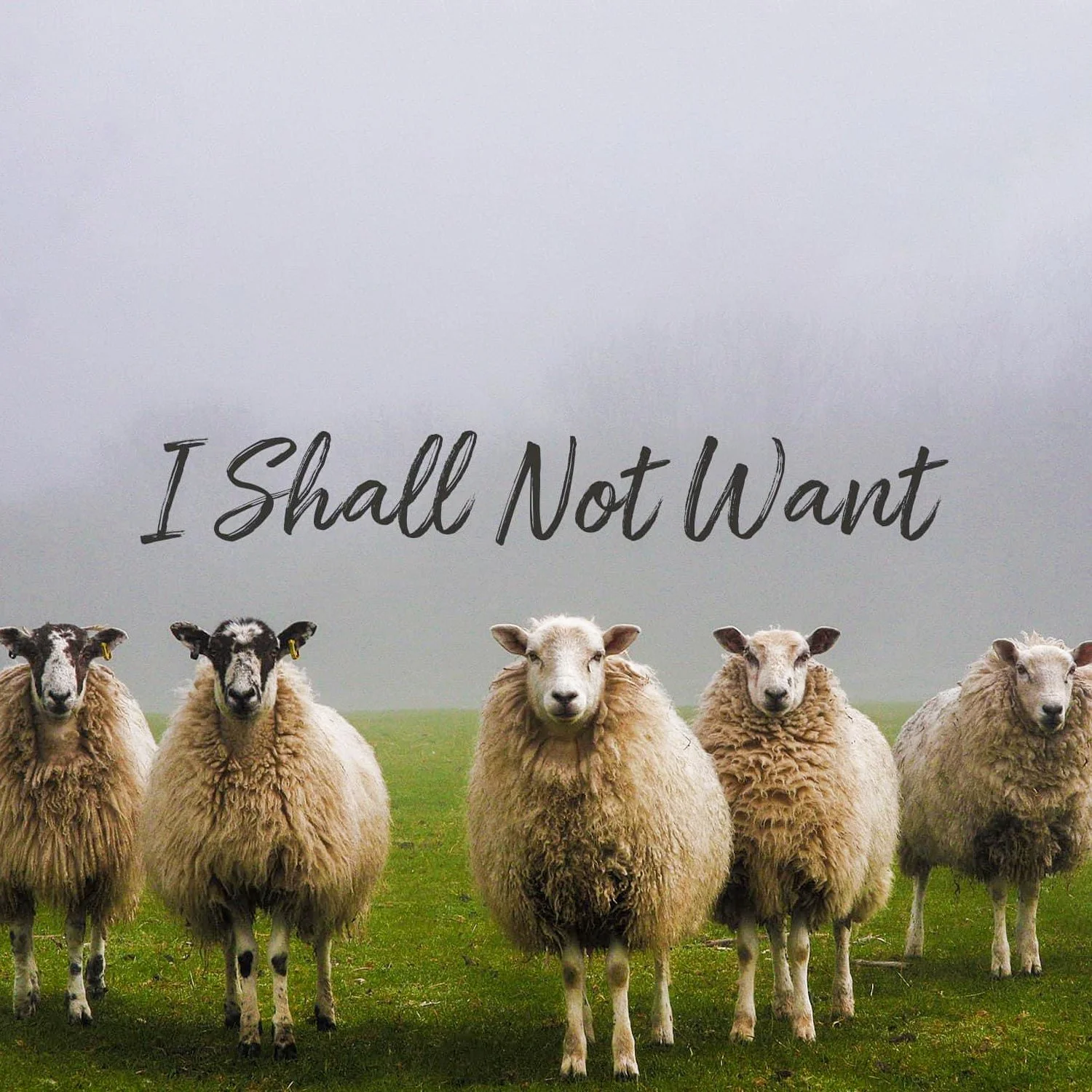 Psalm 23 I Shall Not Want Generation Church In Clayton Psalm 23 I Shall Not Want Generation Church In Clayton