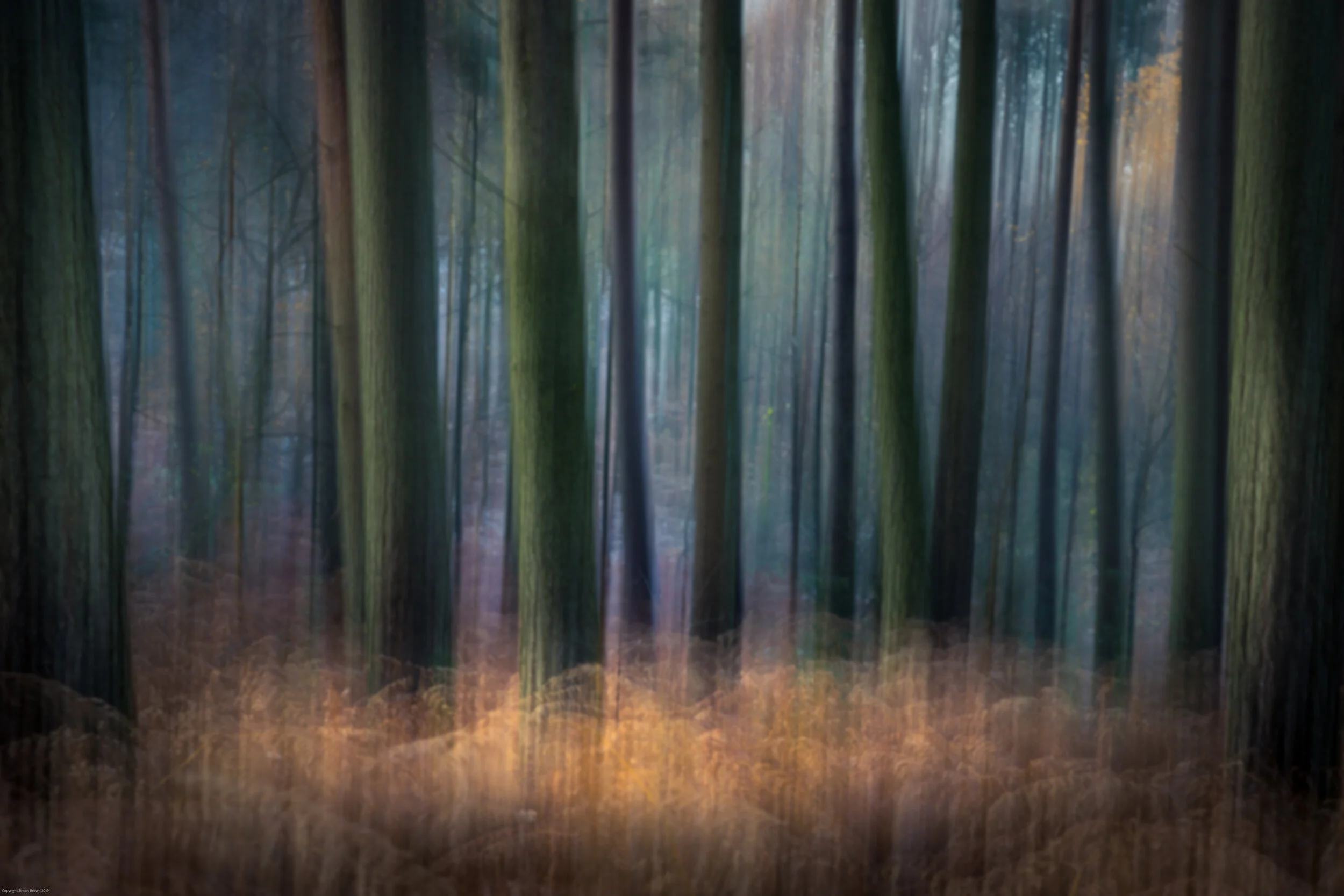 Chaddesley Woods ICM