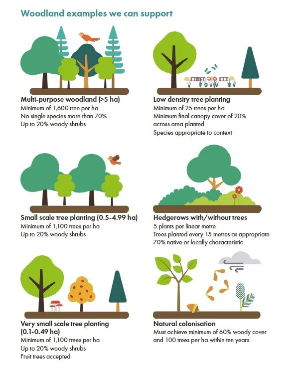 Example For Help Forest Support for Landowners — England's Community Forests