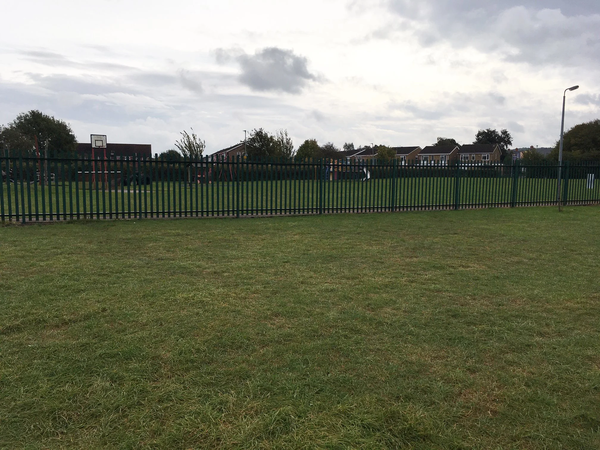 Trees for Climate Wilstead Primary School — England's Community Forests