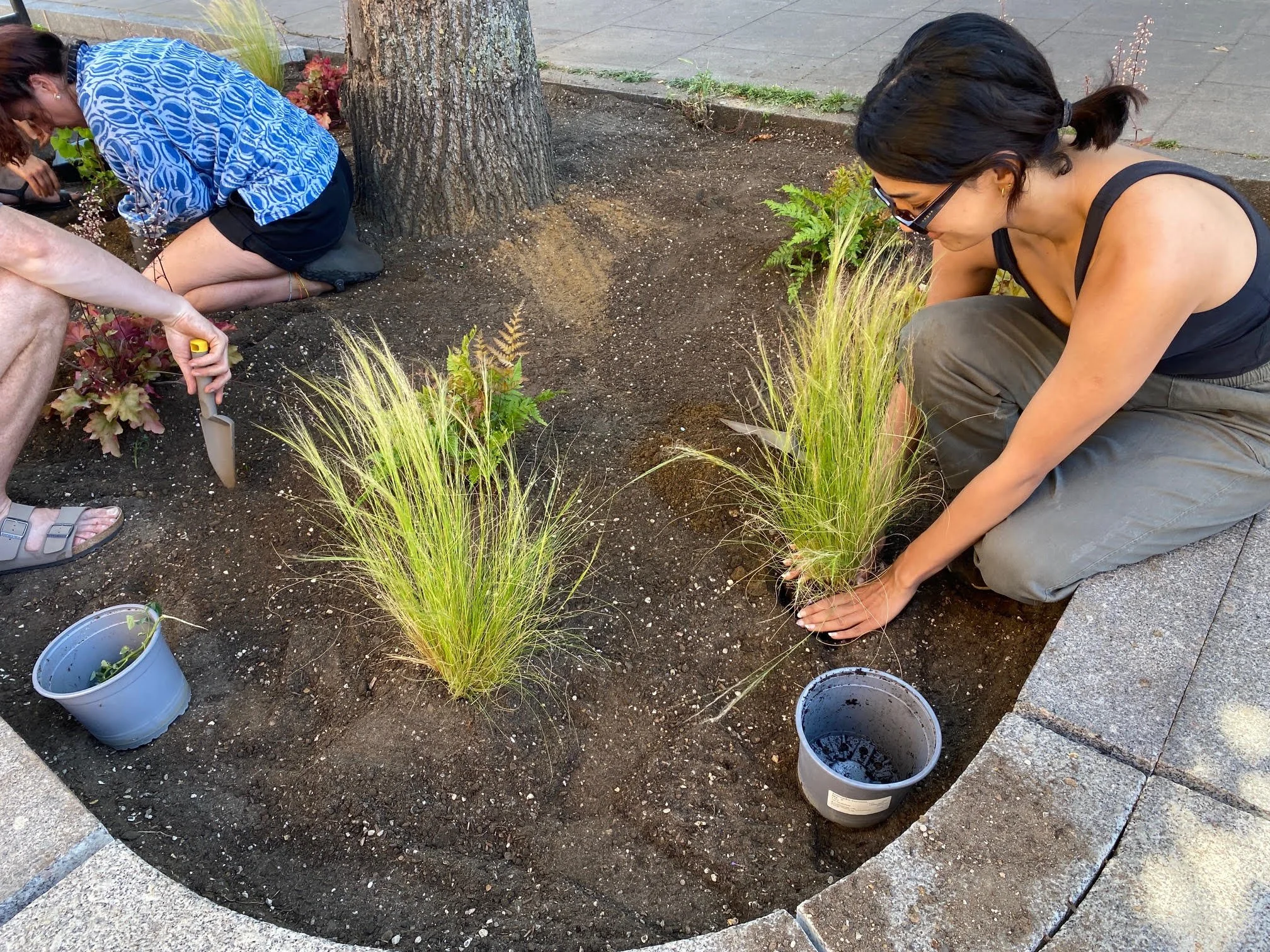 Growing Together: Why the Right to Grow Matters in Hackney Wick