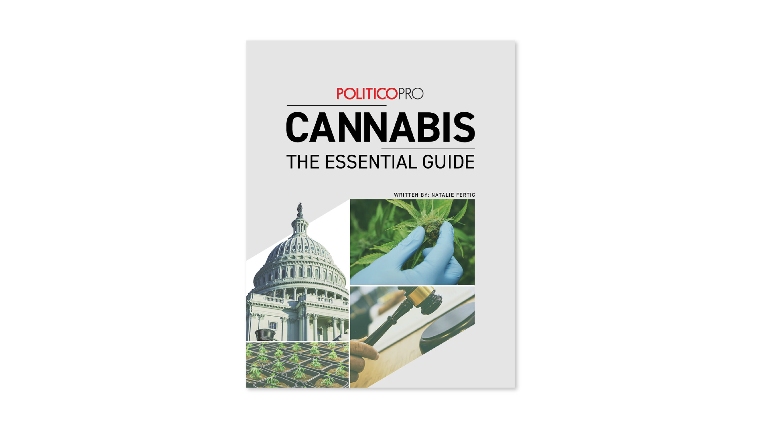 POLITICO PRO ESSENTIAL GUIDES