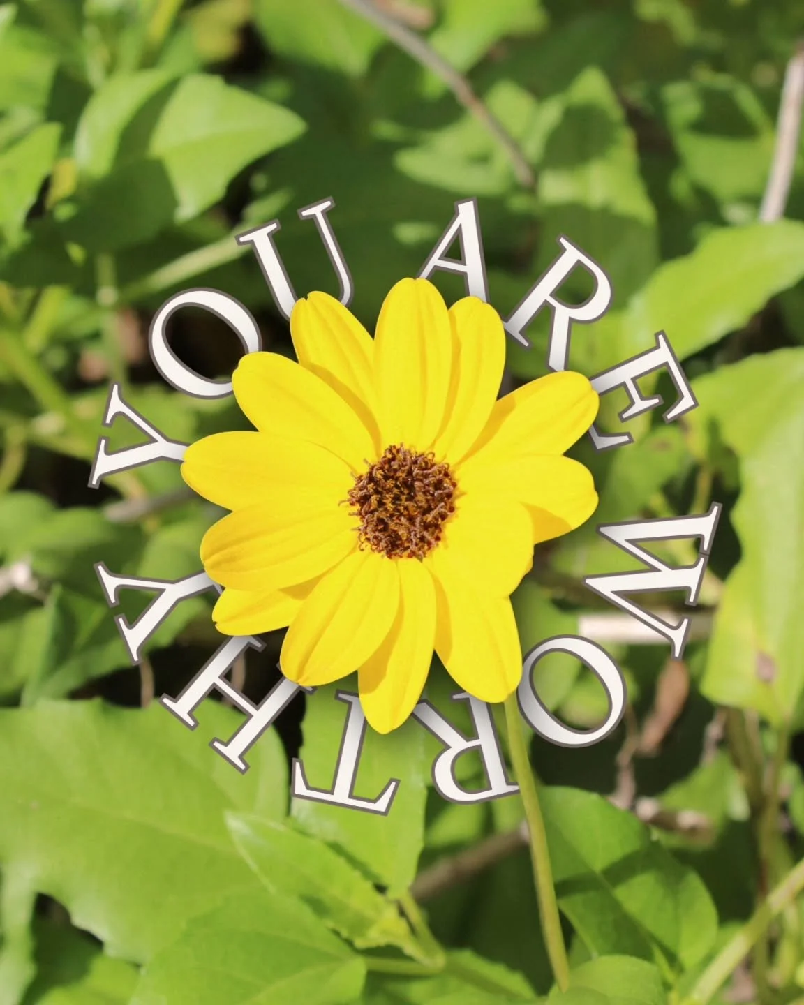 you are worthy to be seen, loved, and fully known&mdash;in the healing, the growing, and the still becoming 💛🌱

#BecomingBeforeBelonging #healingjourney