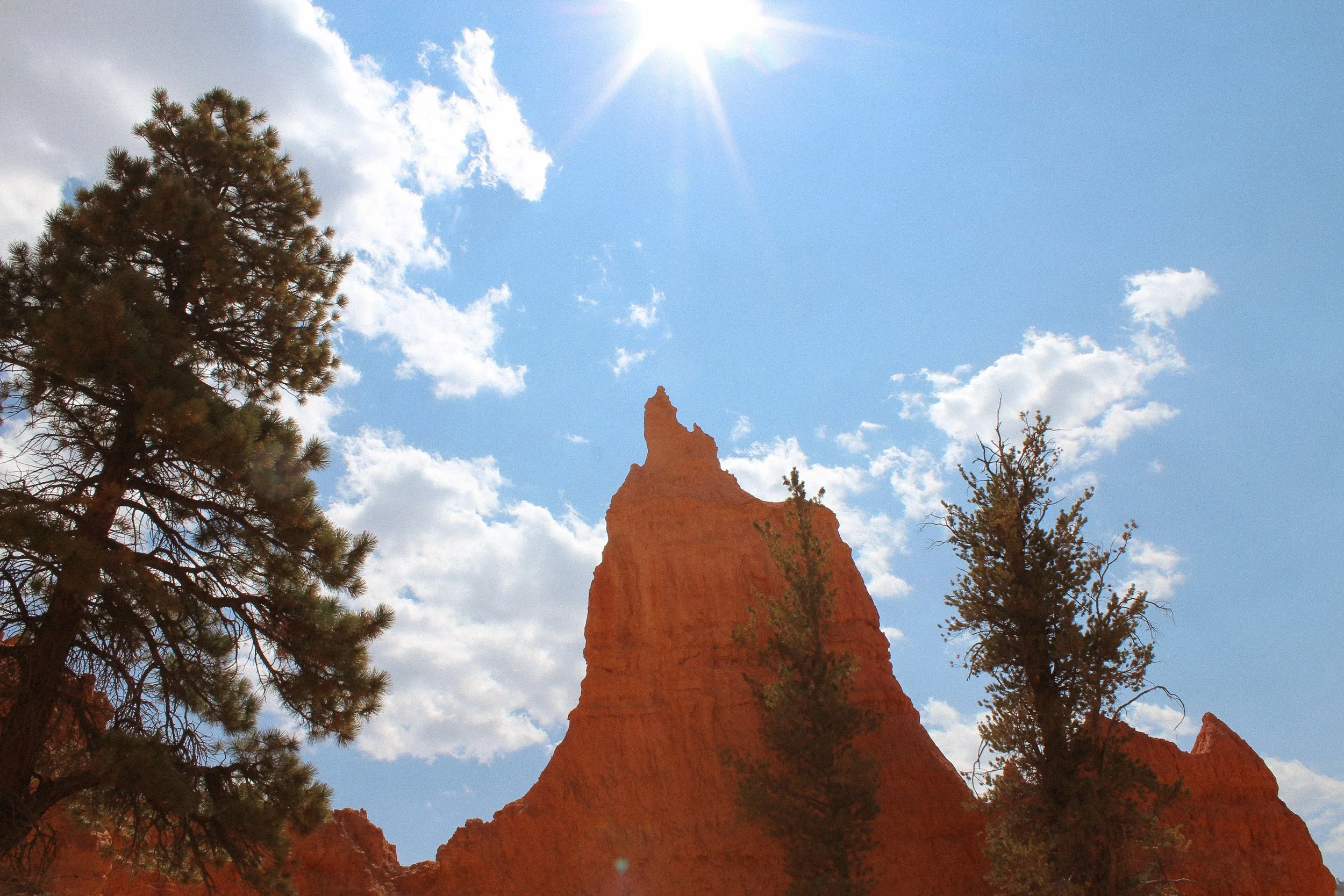 A red rock formation with jagged peaks, two pine trees in foreground, blue sky with scattered clouds, and the sun shining brightly overhead.