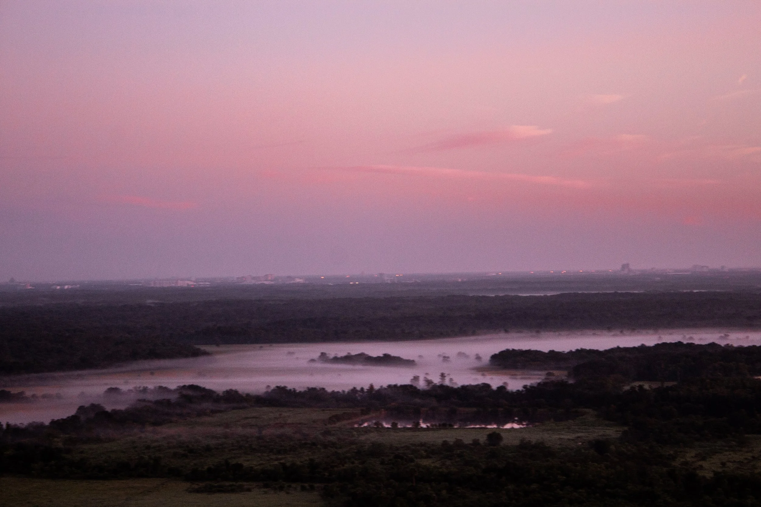 A landscape scene at dawn or dusk with pink and purple sky, a river flowing through dense trees, and city lights in the distance.