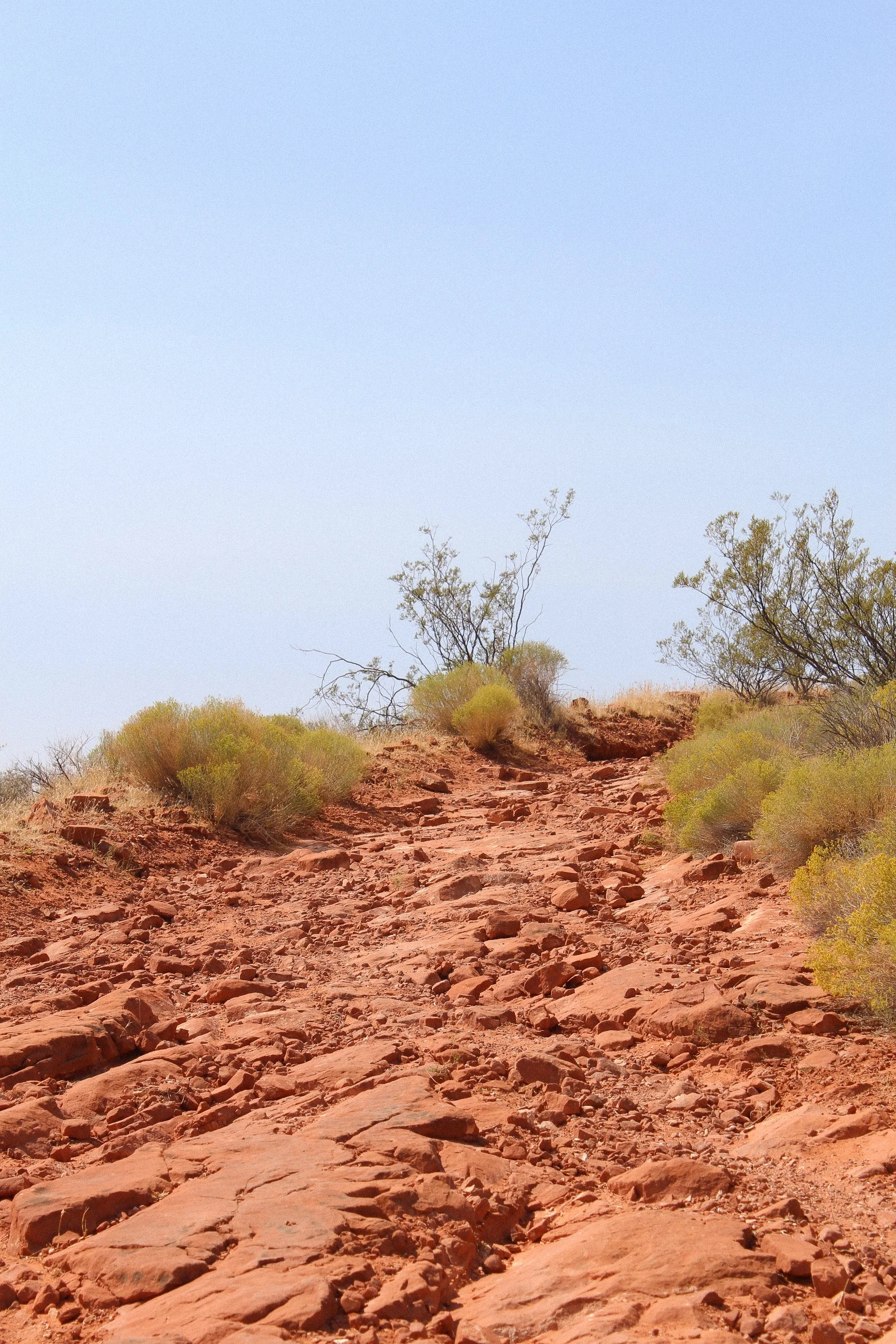 A rocky desert trail with sparse bushes and small trees under a clear blue sky.
