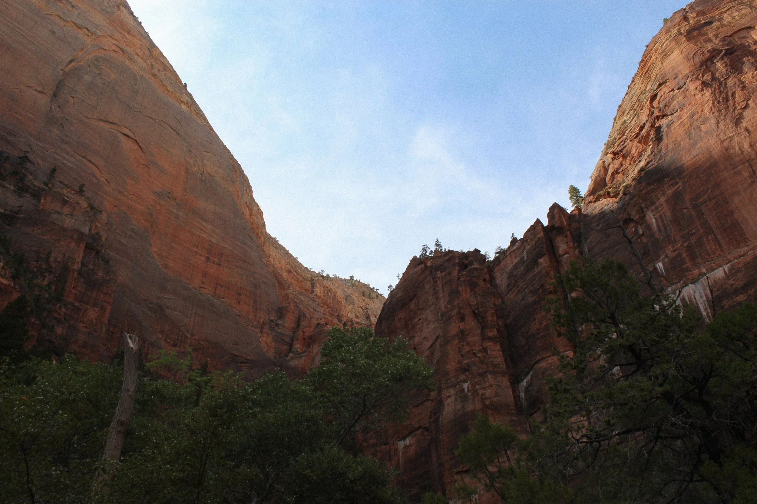 View of tall red rock canyon walls with some green trees at the bottom and a light blue sky above.