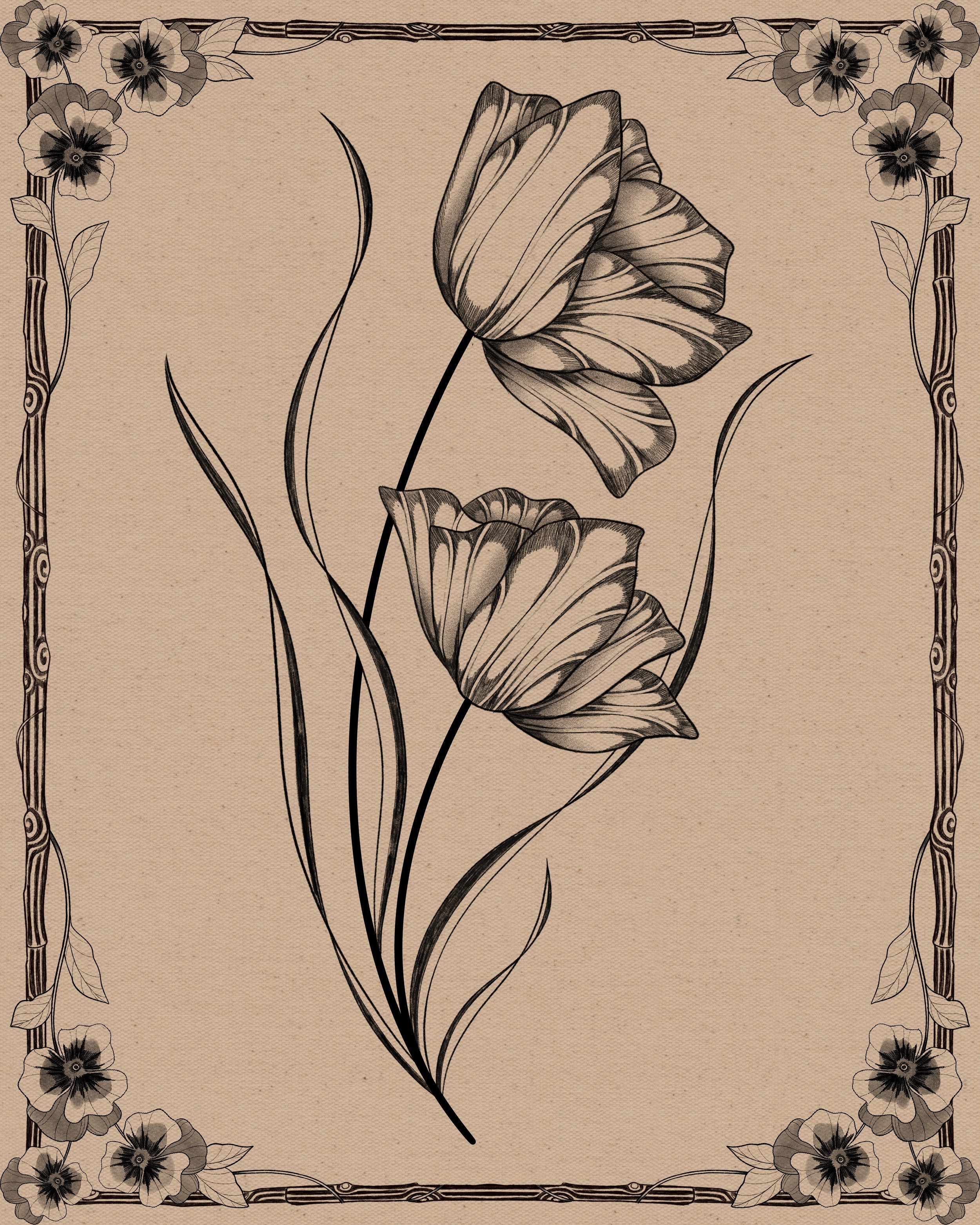 32. Tulip_II_-_12_18_-_280.jpg