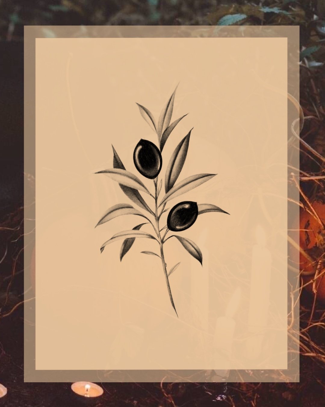 Olive branch