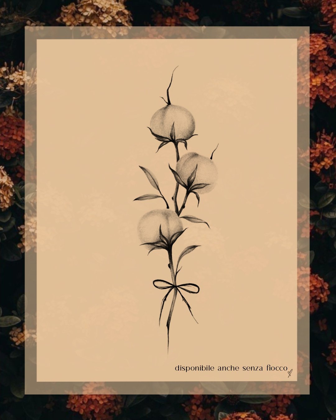 Cotton flowers_160_13cm.jpg