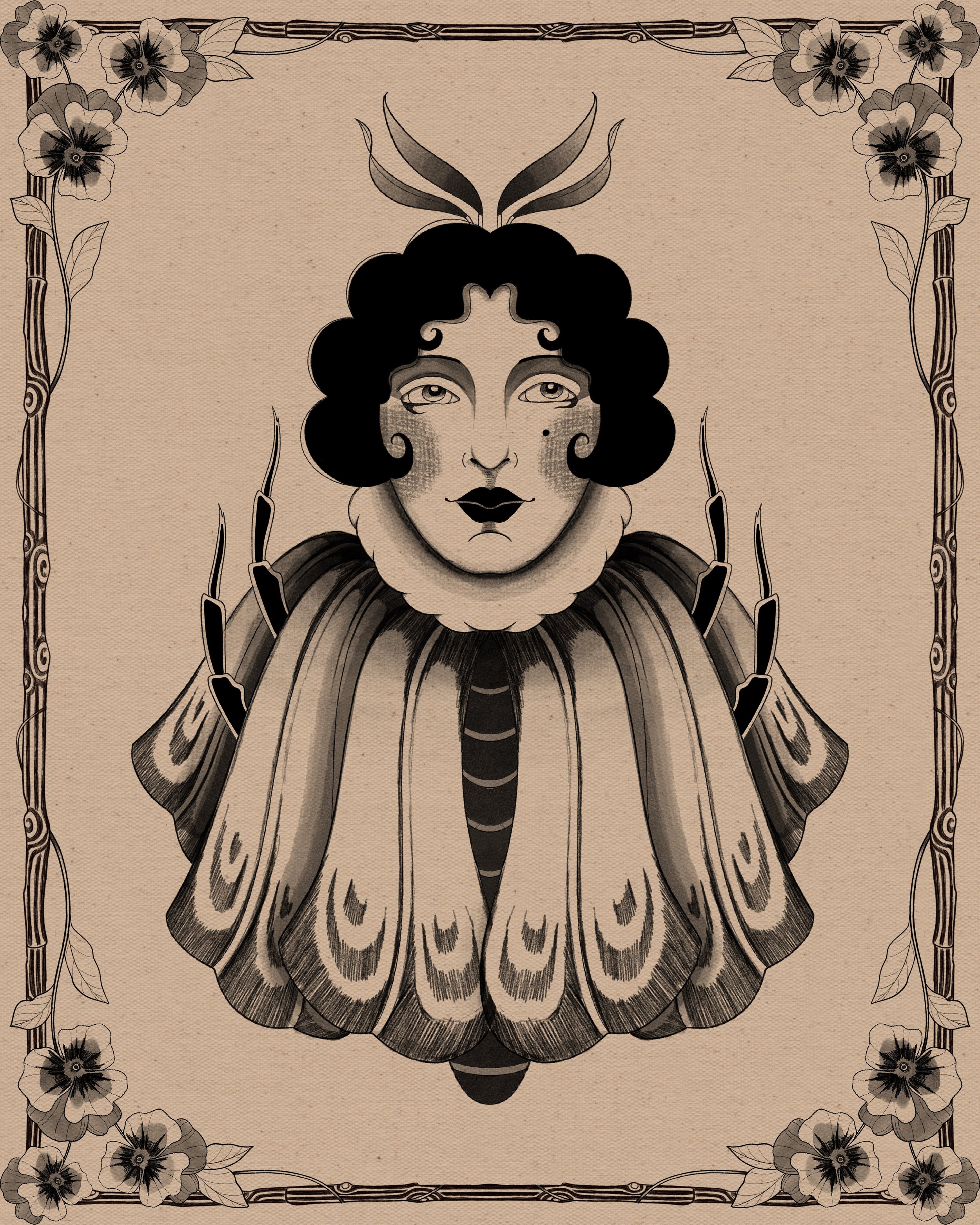 Tulip Moth