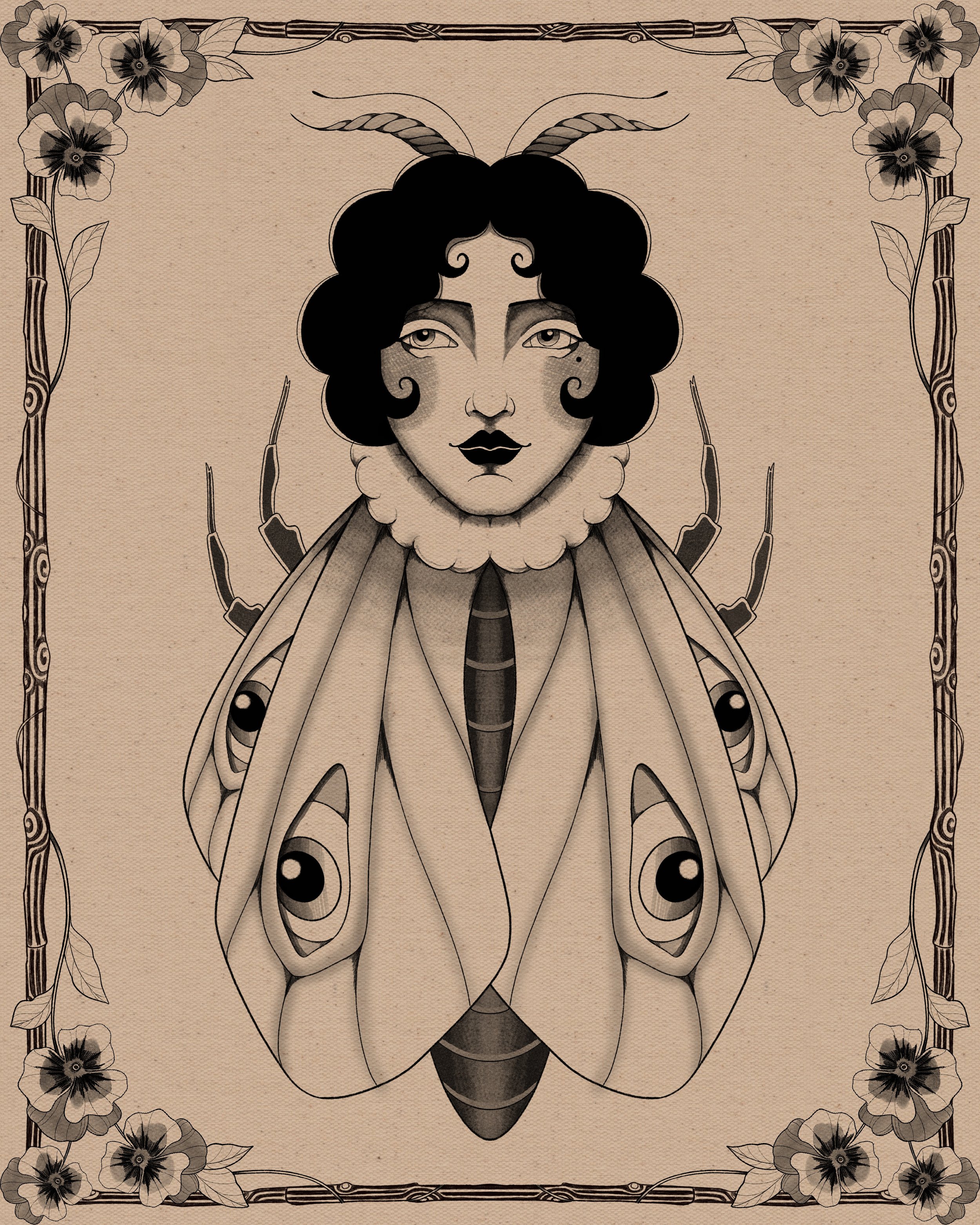 Midnight_Moth.jpg