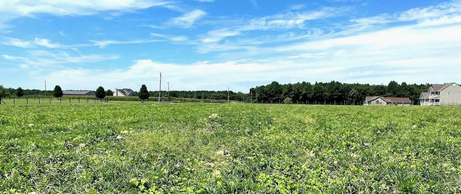 Riverside Produce Farm — The Neighborhood Harvest Insider