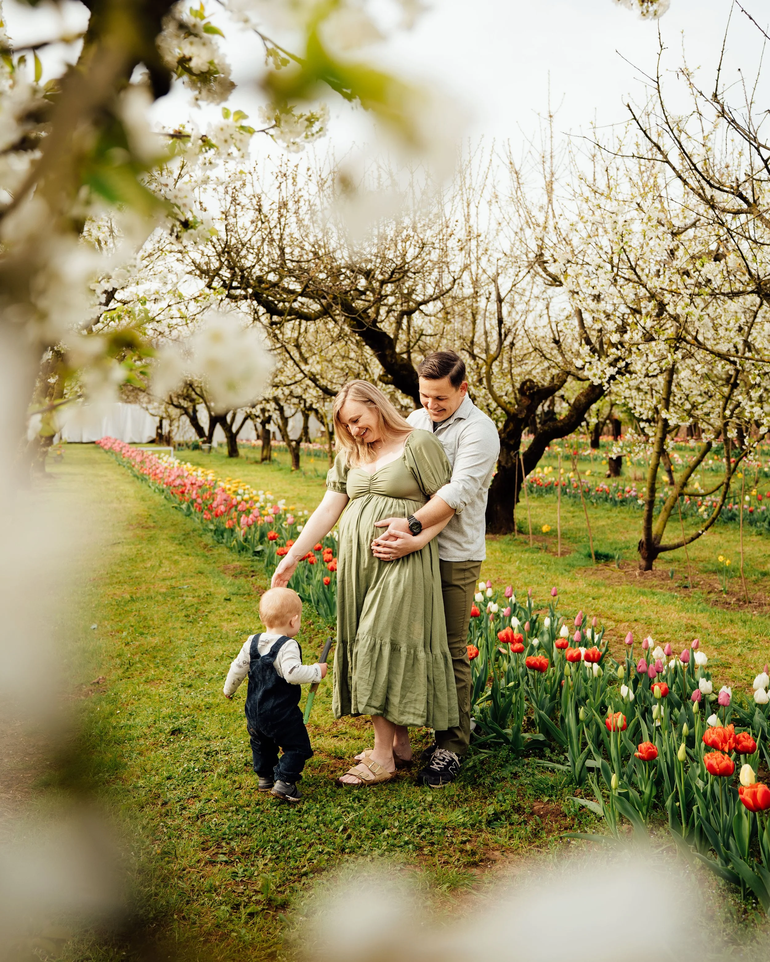 expecting couple and toddler walking along a garden path bordered by tulips and blooming trees during a family photography session.