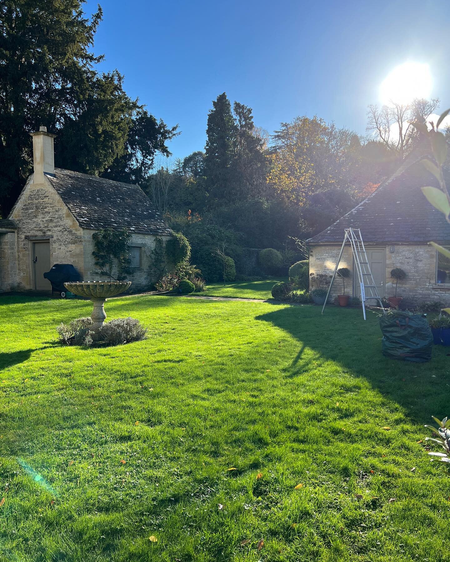 The light this morning was incredible&hellip;like a series of stage lights highlighting features in the garden&hellip;including our @niwaki.hq ladders helping us reattach the wisteria that had come down in last night&rsquo;s strong winds! New wall fi