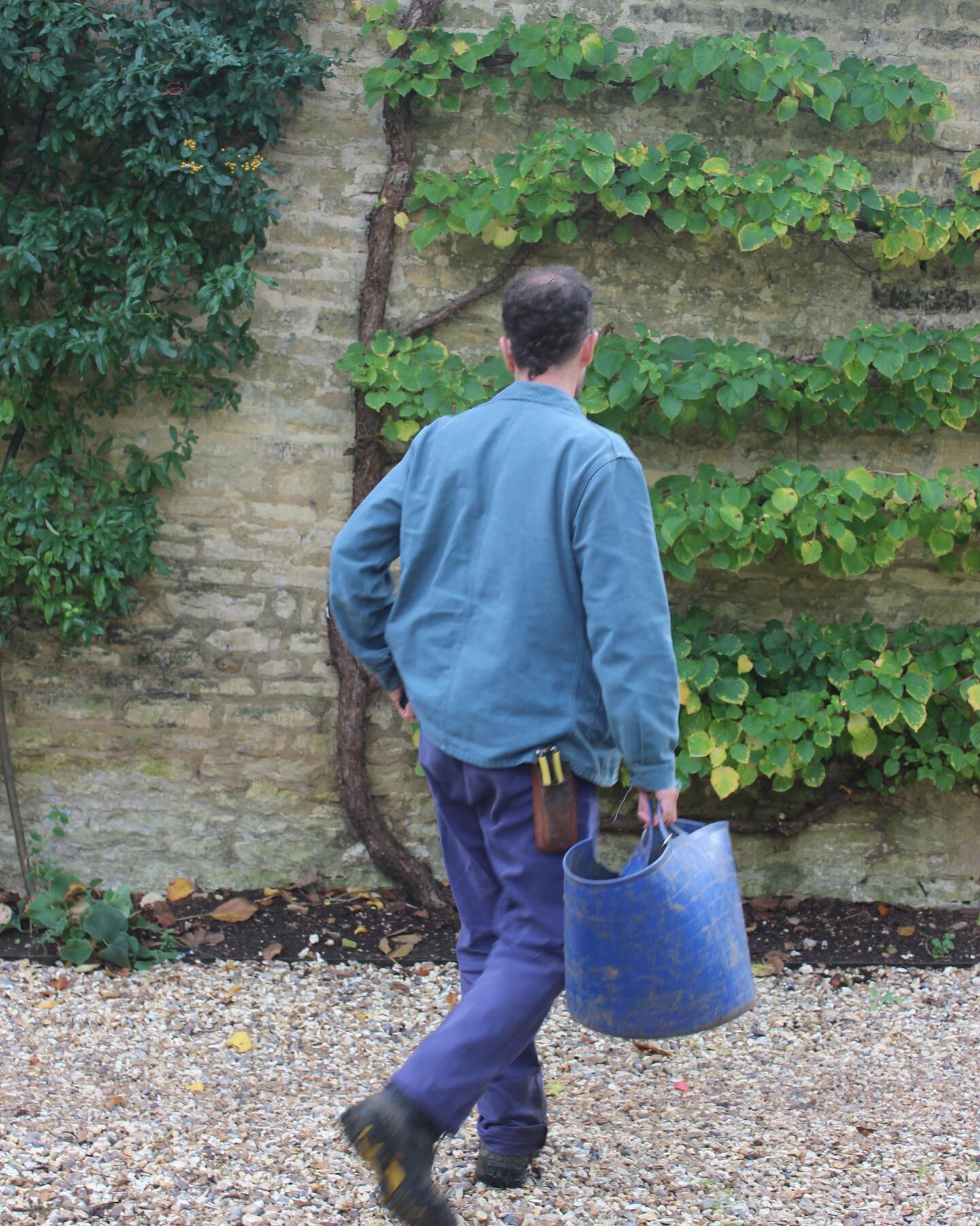 People often ask if things go quiet for a gardener in the winter. The reality is it feels like the busiest time! As we&rsquo;re (hopefully!) getting to the end of leaf clearing, and the spring bulbs are all planted&hellip;now we move on to mulching, 