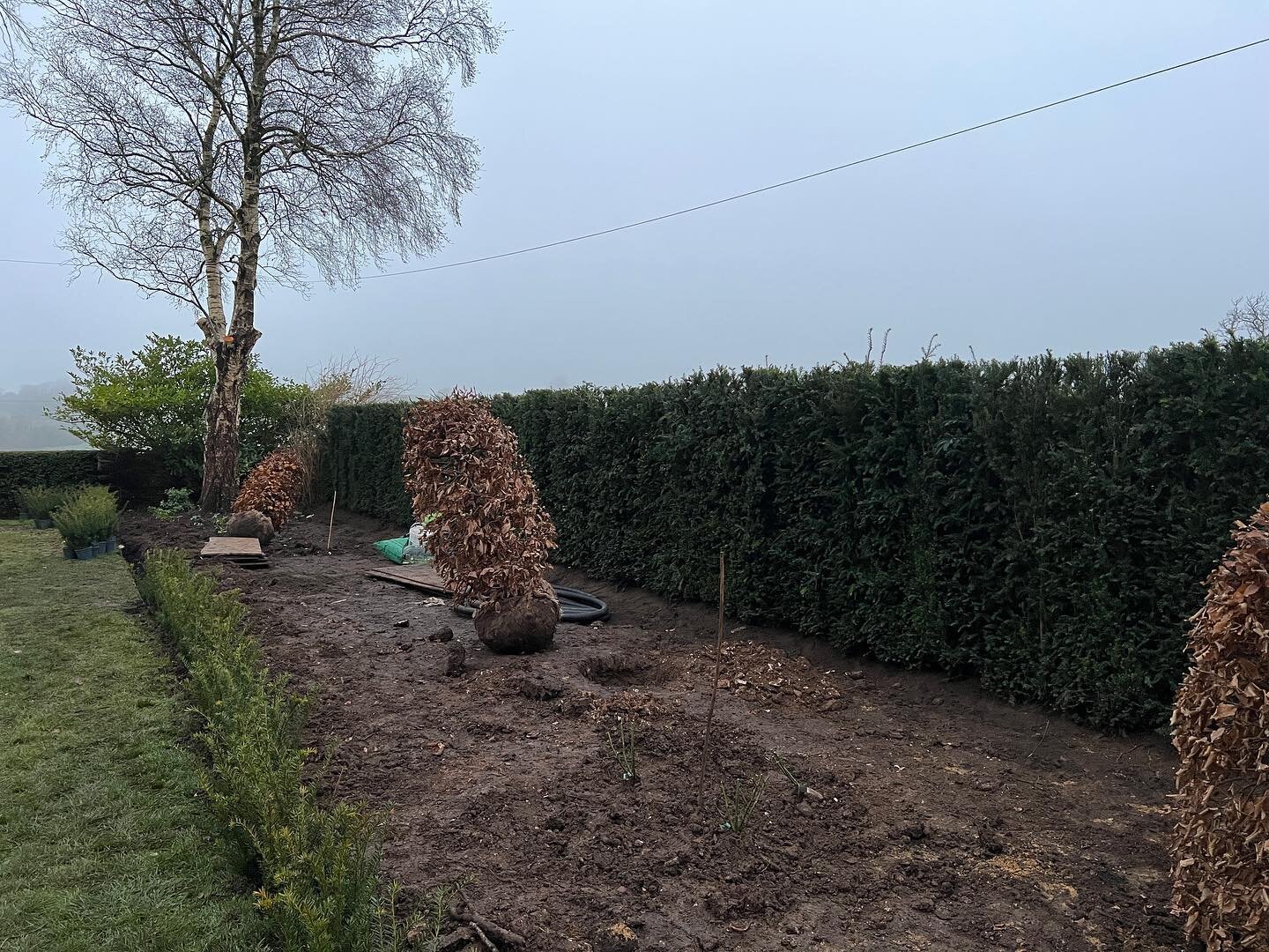 Arguably not the prettiest photo yet as it&rsquo;s still WIP but great to see the immediate difference the instant hedging has made as a back drop to this huge herbaceous border. Whilst it&rsquo;s a shame to hide that lovely Cotswold stone wall, it a