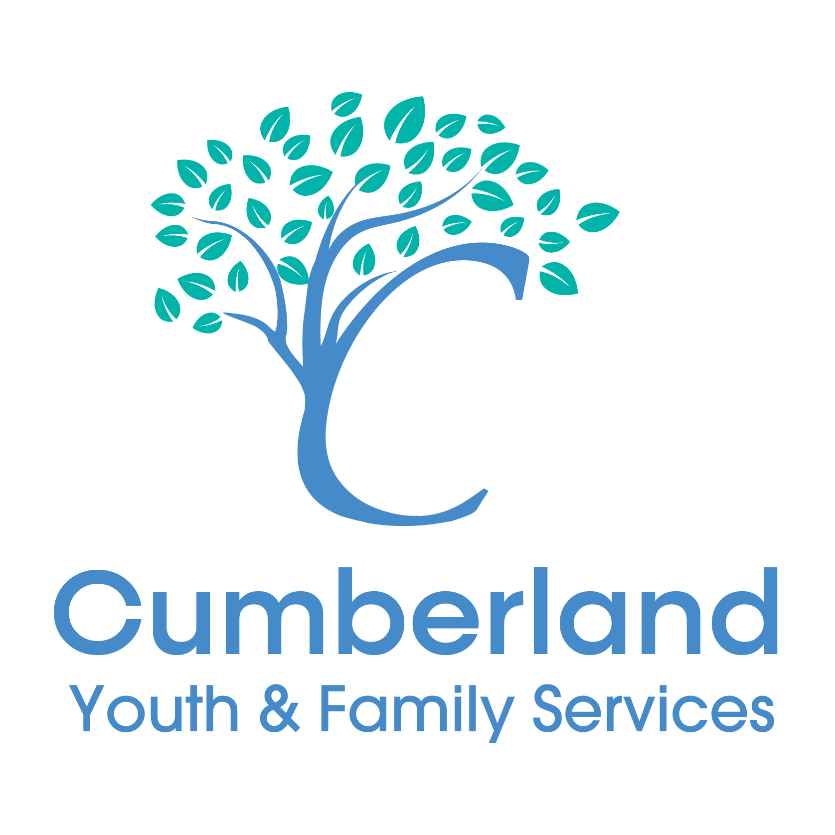 Multiple Needs | Cumberland Youth and Family Services