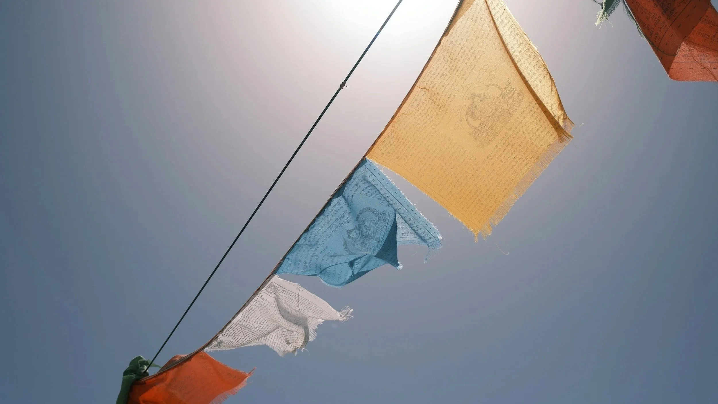 What is Buddhism? An online taster session