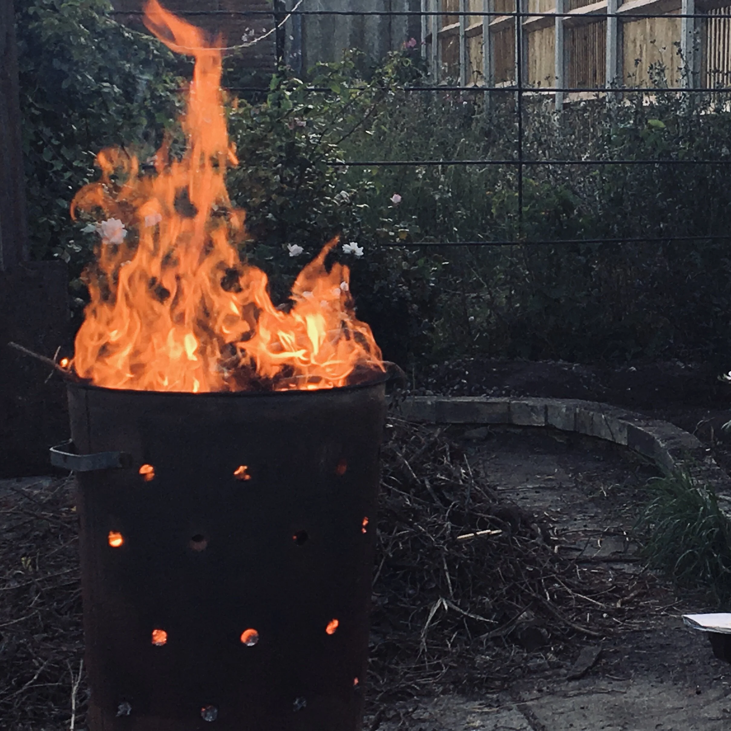 The wabi-sabi bardo of winter