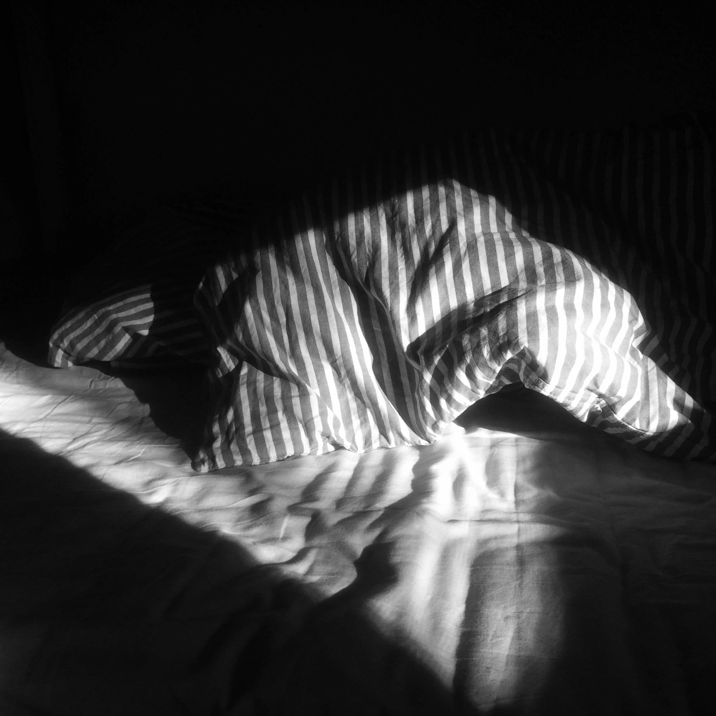 Is elegant, voluntary, poverty possible today?