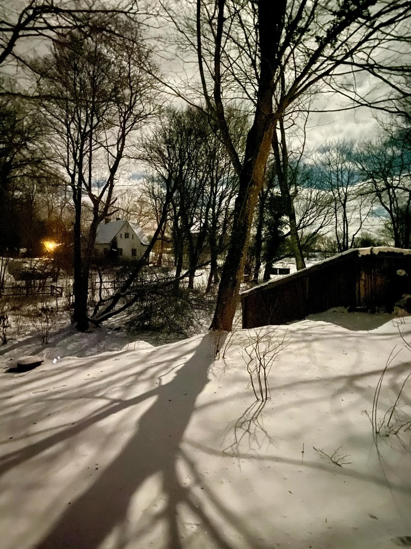 This is pure moon light. The kitchen window just before bed.