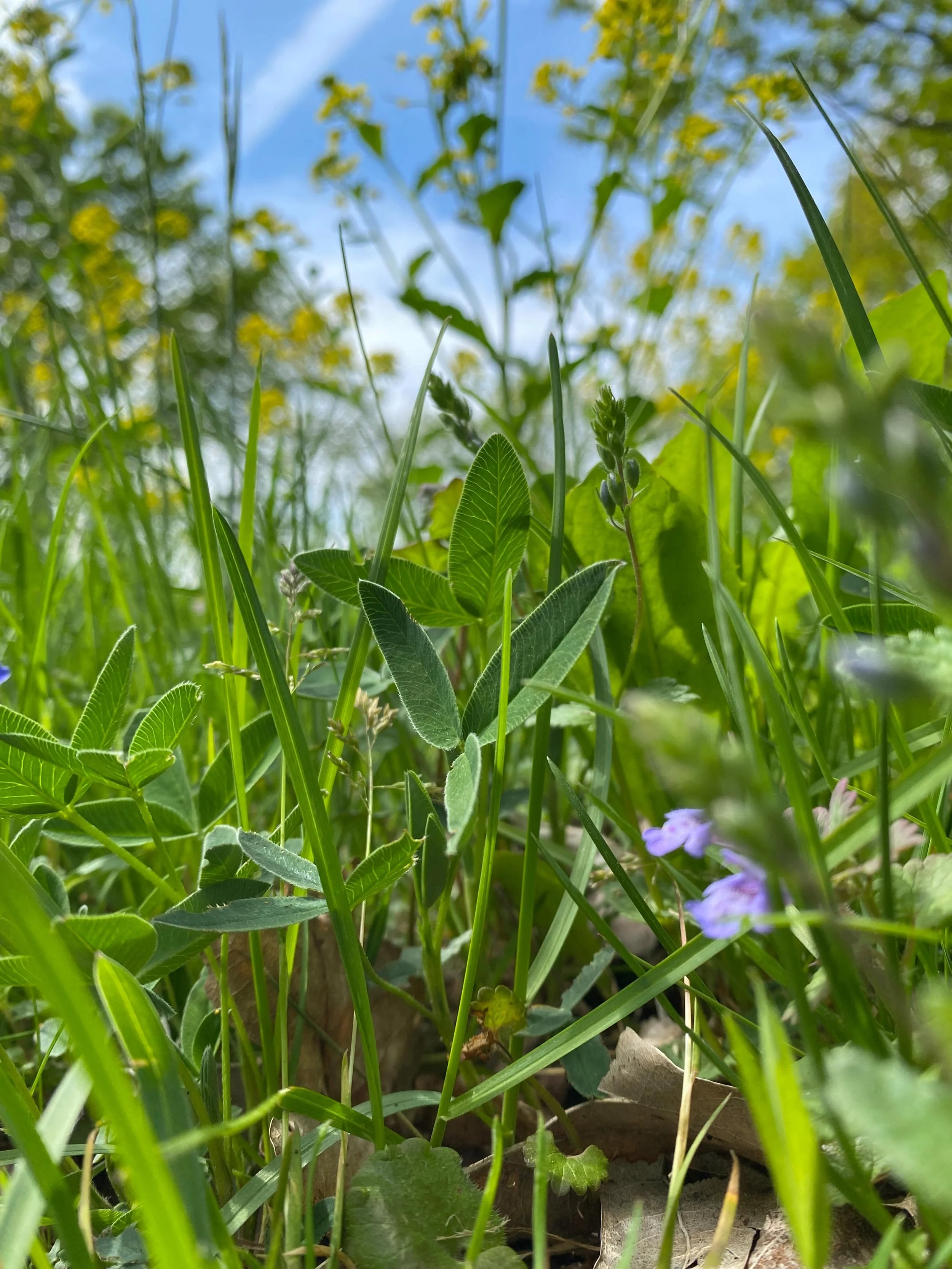 Joining heaven and earth. A great day retreat with @katiesollohub where we explored two key Buddhist symbols - ground and sky. Using art and meditation, we all discovered new ways of looking at the world around us. Thanks to everyone who participated