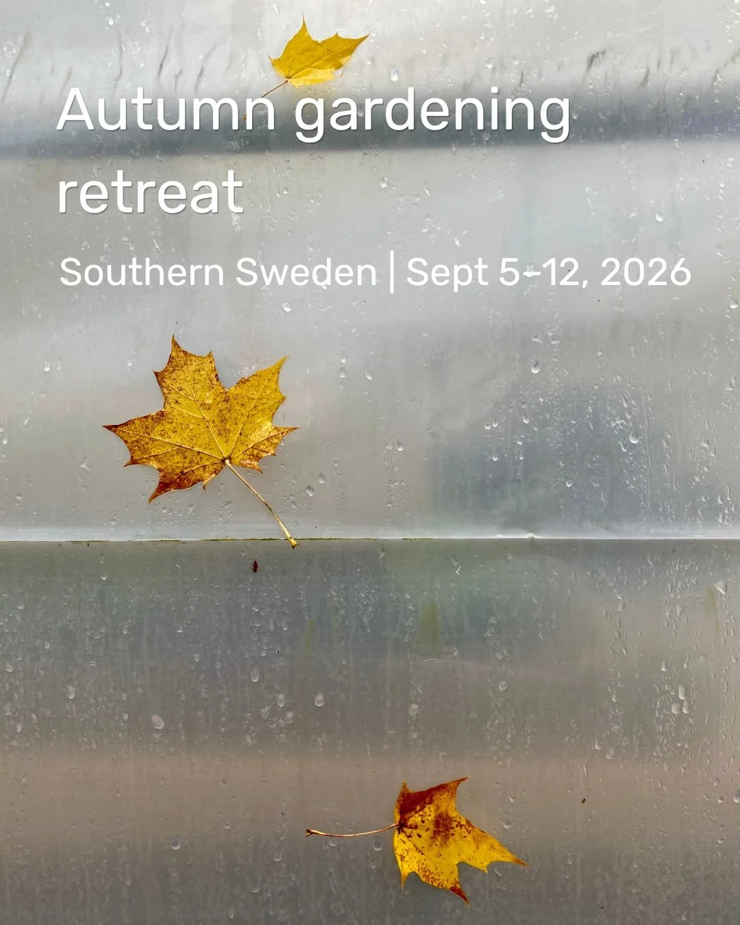 Join us in the south of Sweden for a gardening retreat 👩&zwj;🌾
5th - 12th September 
We&rsquo;ll be learning how to make our work a practice with teachings from the great Zen teacher Dogen. 
Good food
Inspiring Dharma
Great company
Come and get you